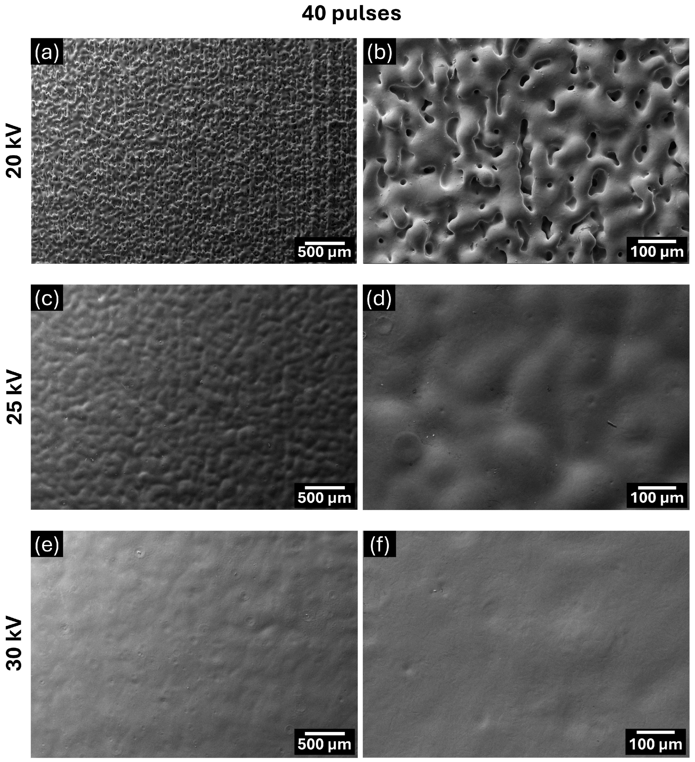 Lubricants 13 00042 g004