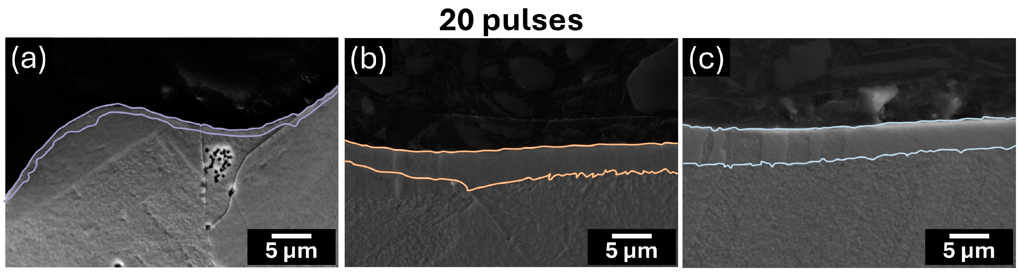 Lubricants 13 00042 g006