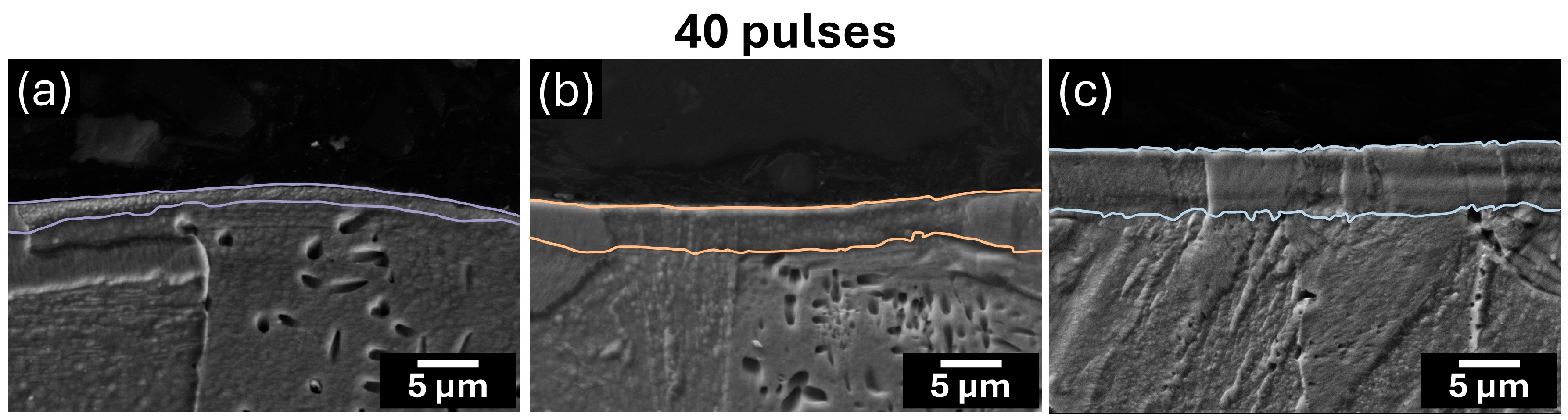 Lubricants 13 00042 g007
