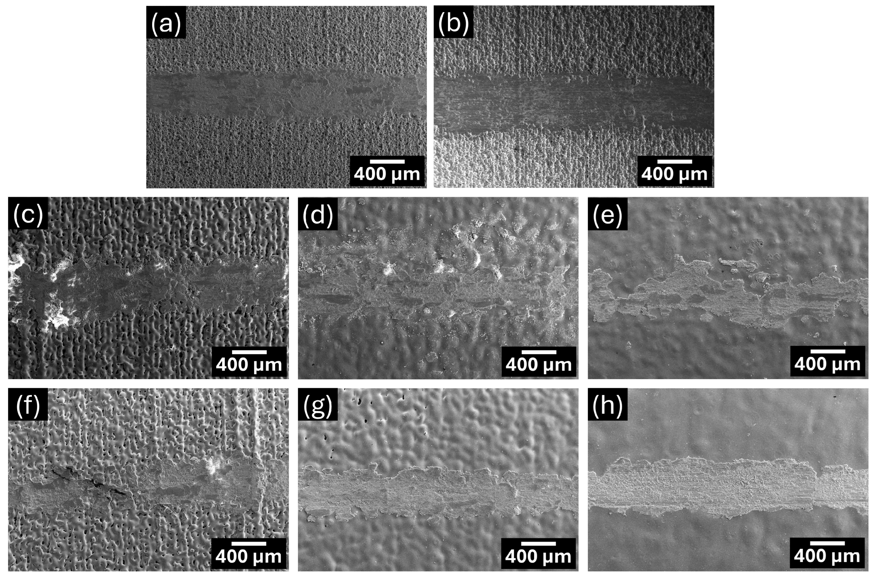 Lubricants 13 00042 g014