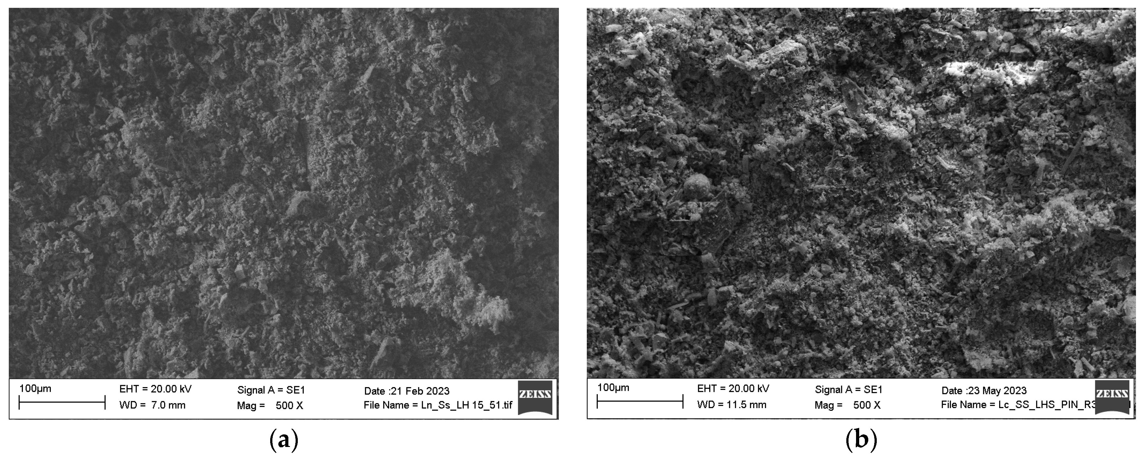 Lubricants 13 00043 g005