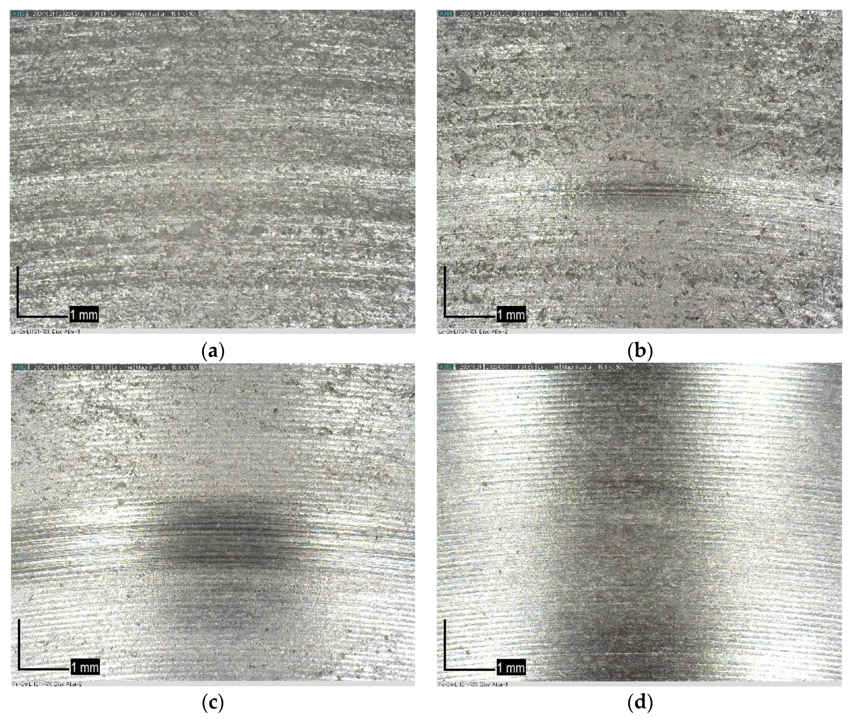Lubricants 13 00043 g007