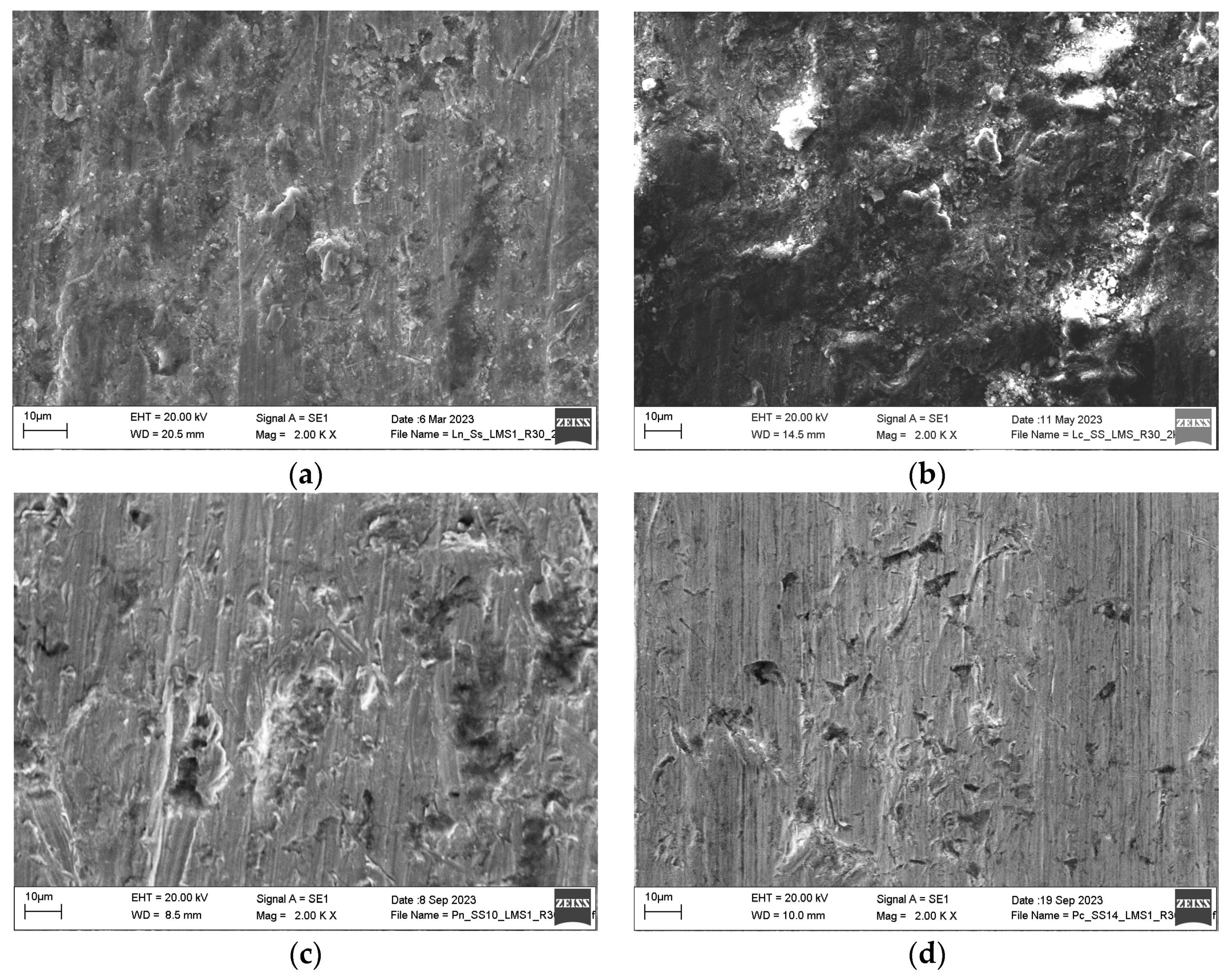 Lubricants 13 00043 g008