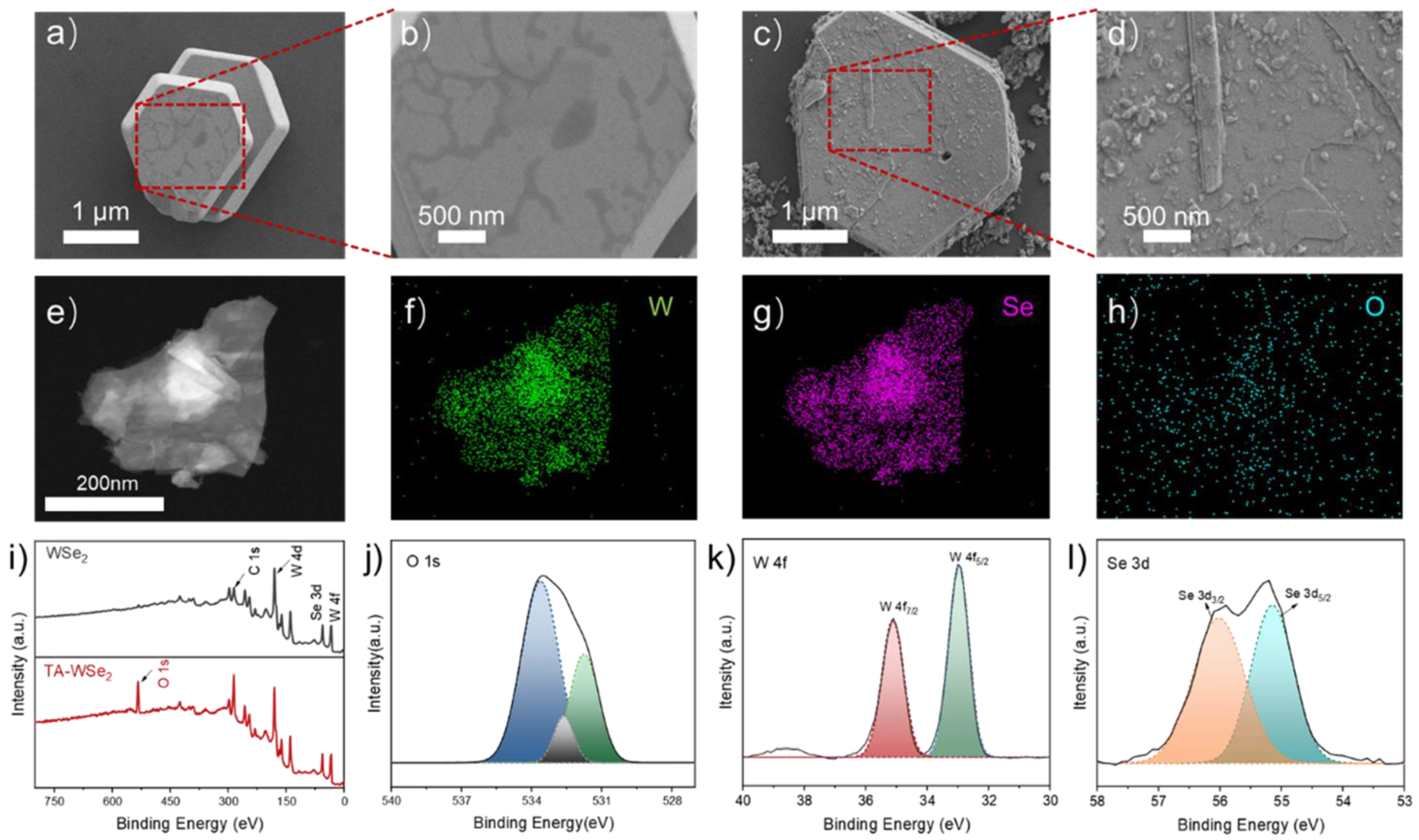 Lubricants 13 00044 g003