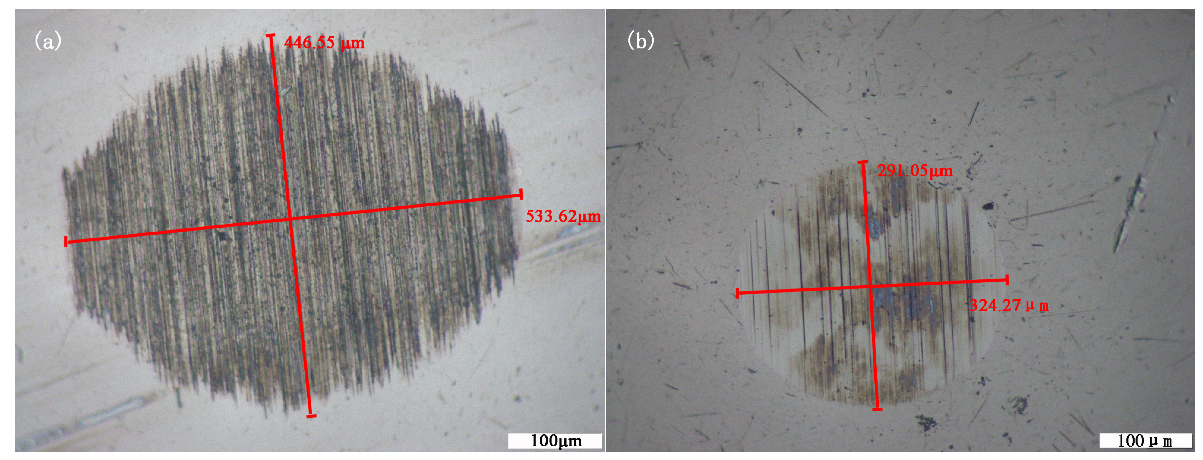 Lubricants 13 00045 g009