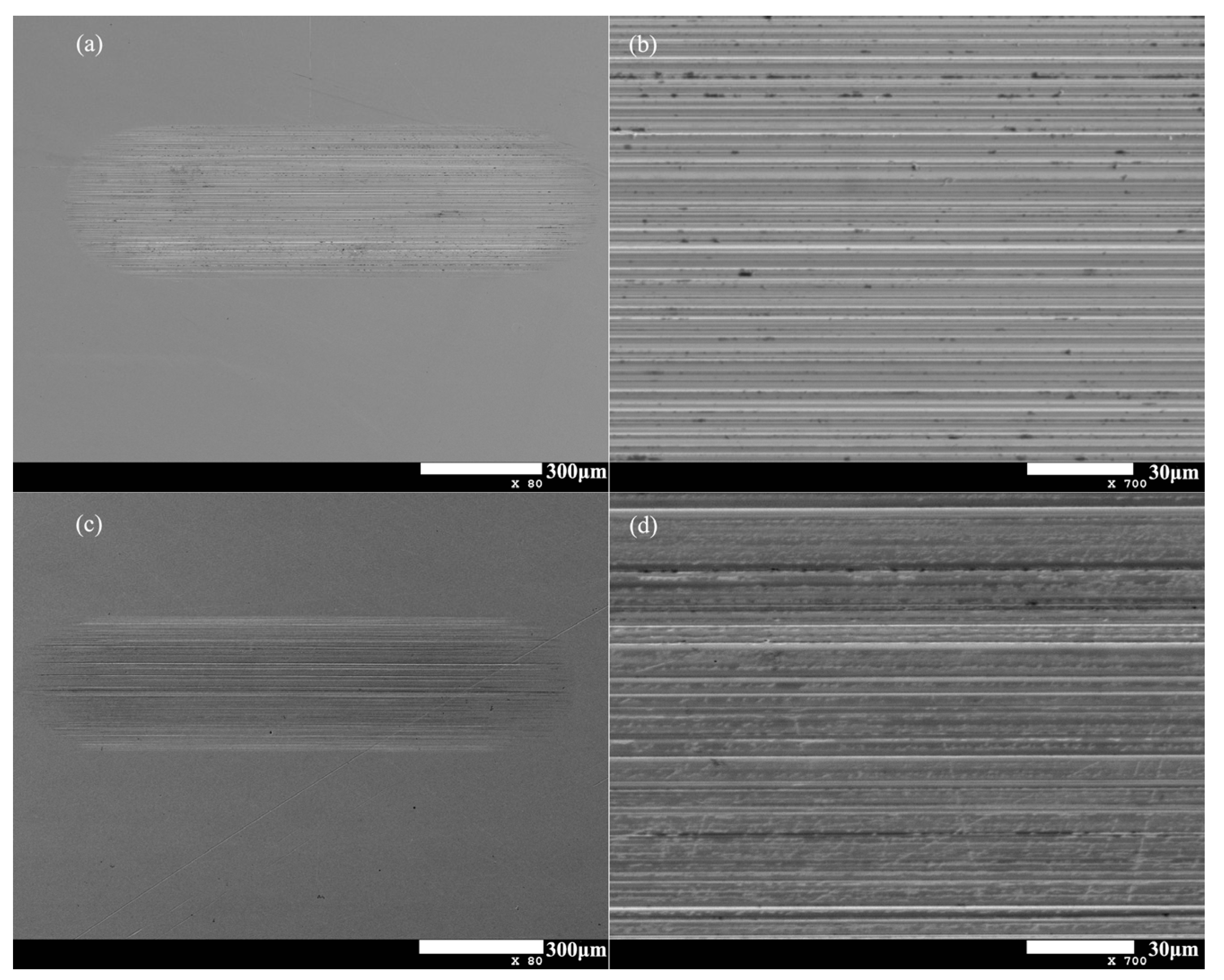Lubricants 13 00045 g010
