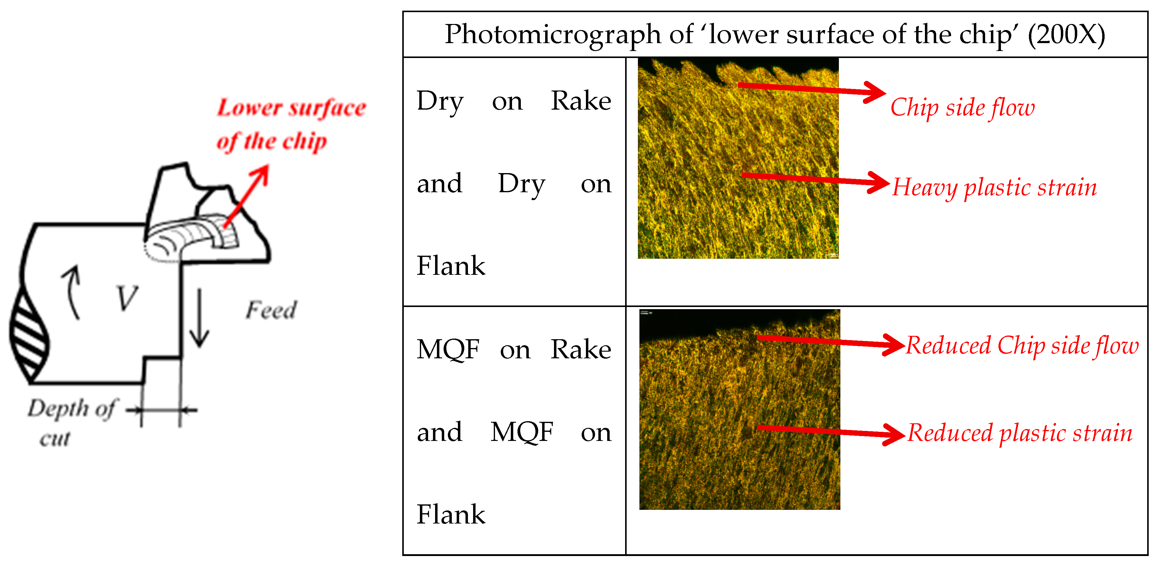 Lubricants 13 00050 g010 Lubricants 13 00050 g010