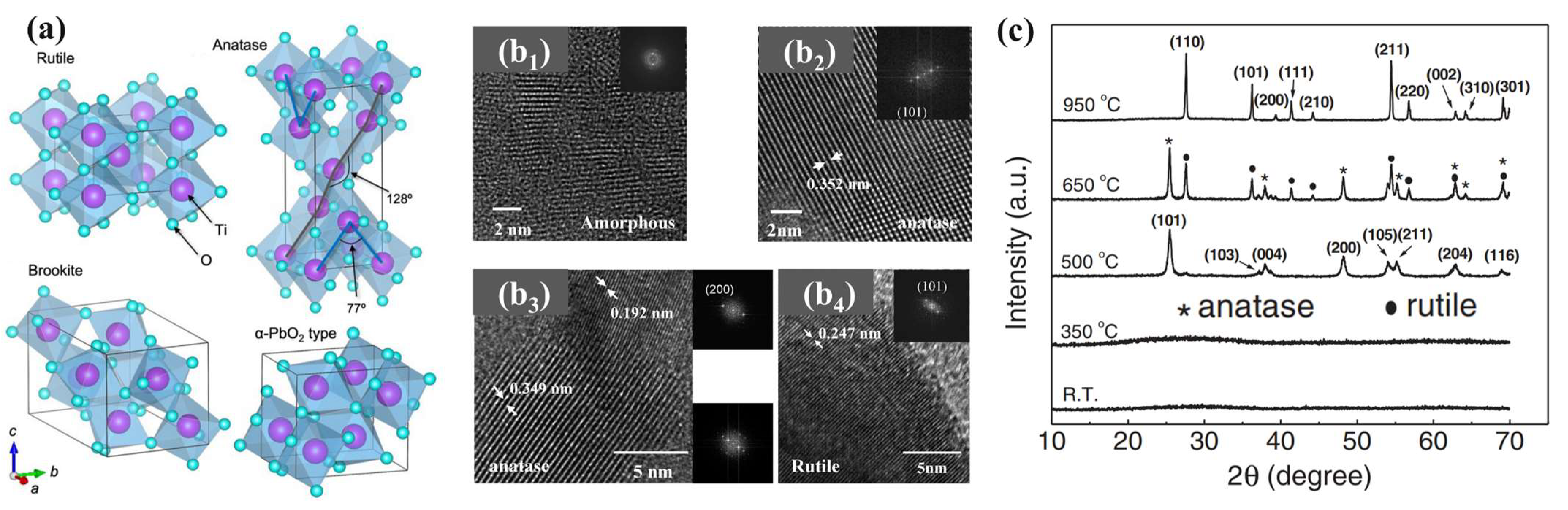 Lubricants 13 00056 g002