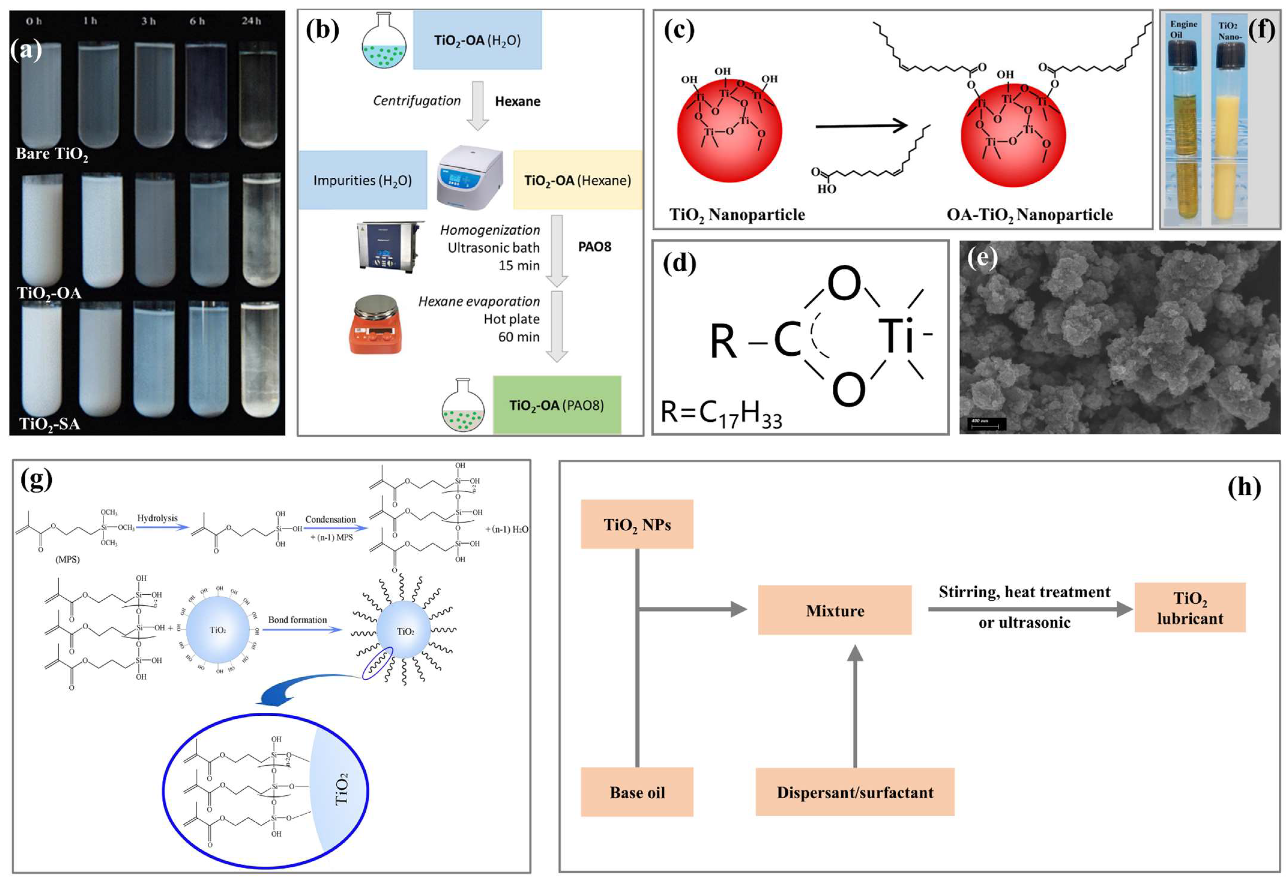Lubricants 13 00056 g005