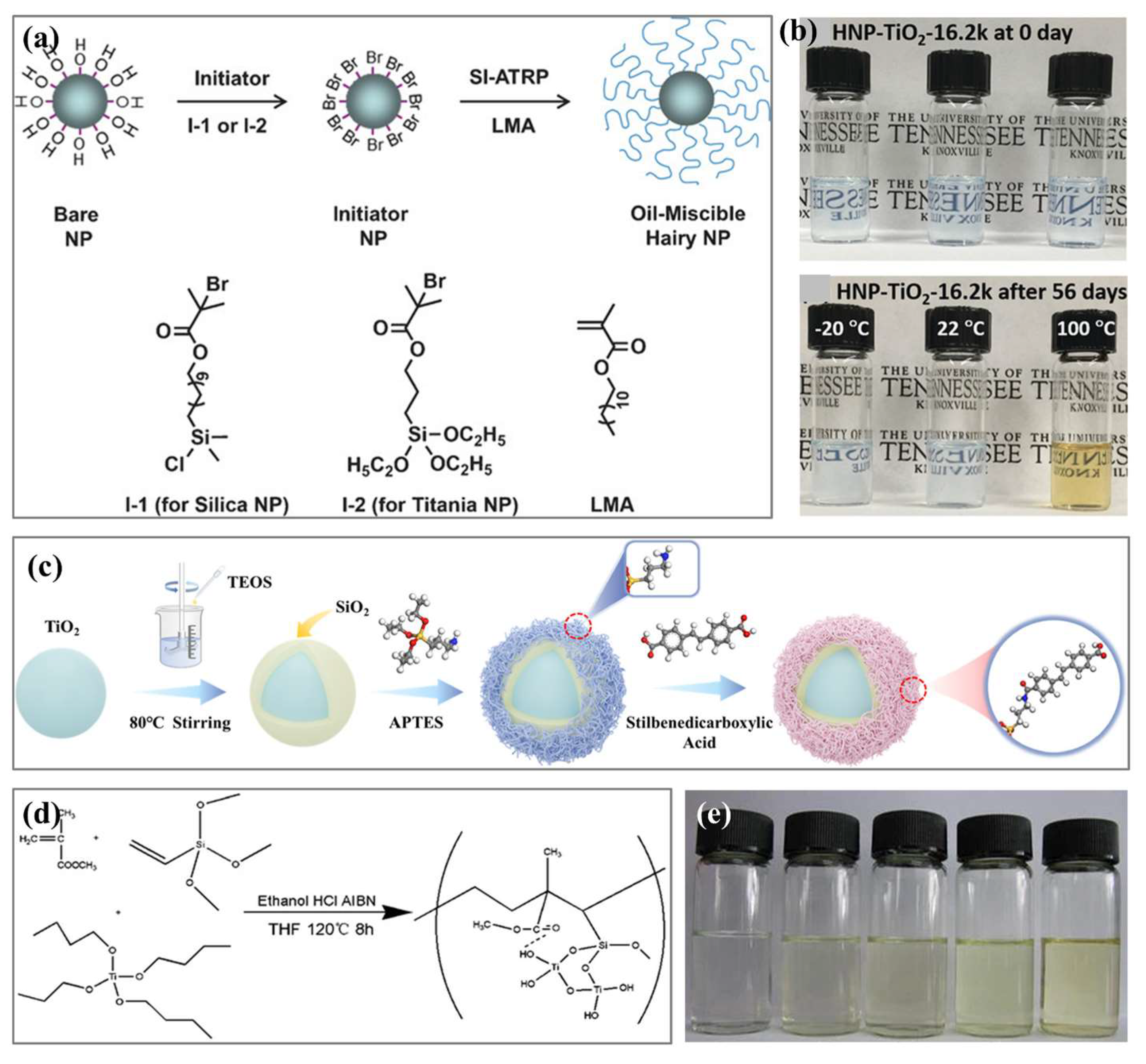 Lubricants 13 00056 g008