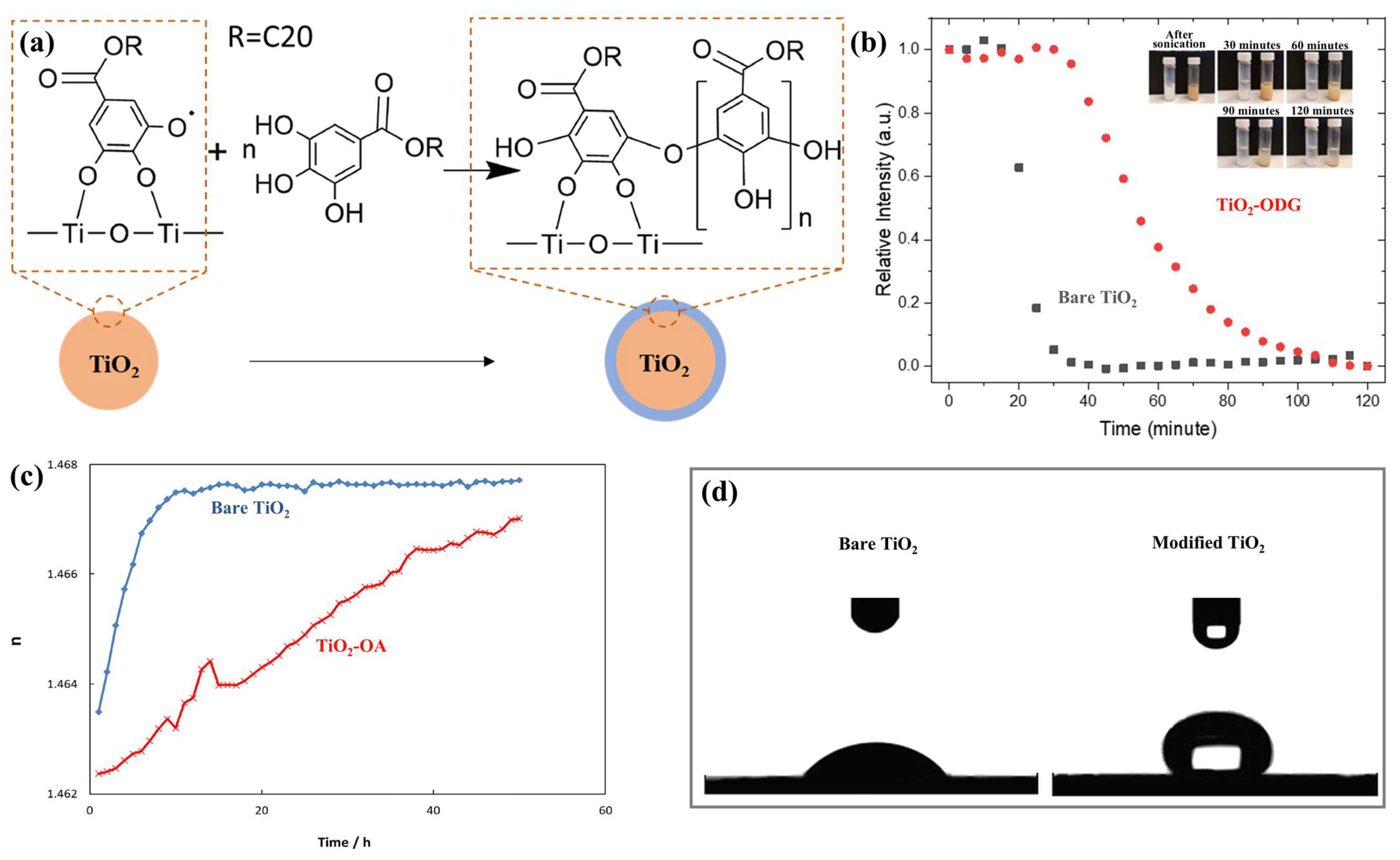 Lubricants 13 00056 g010
