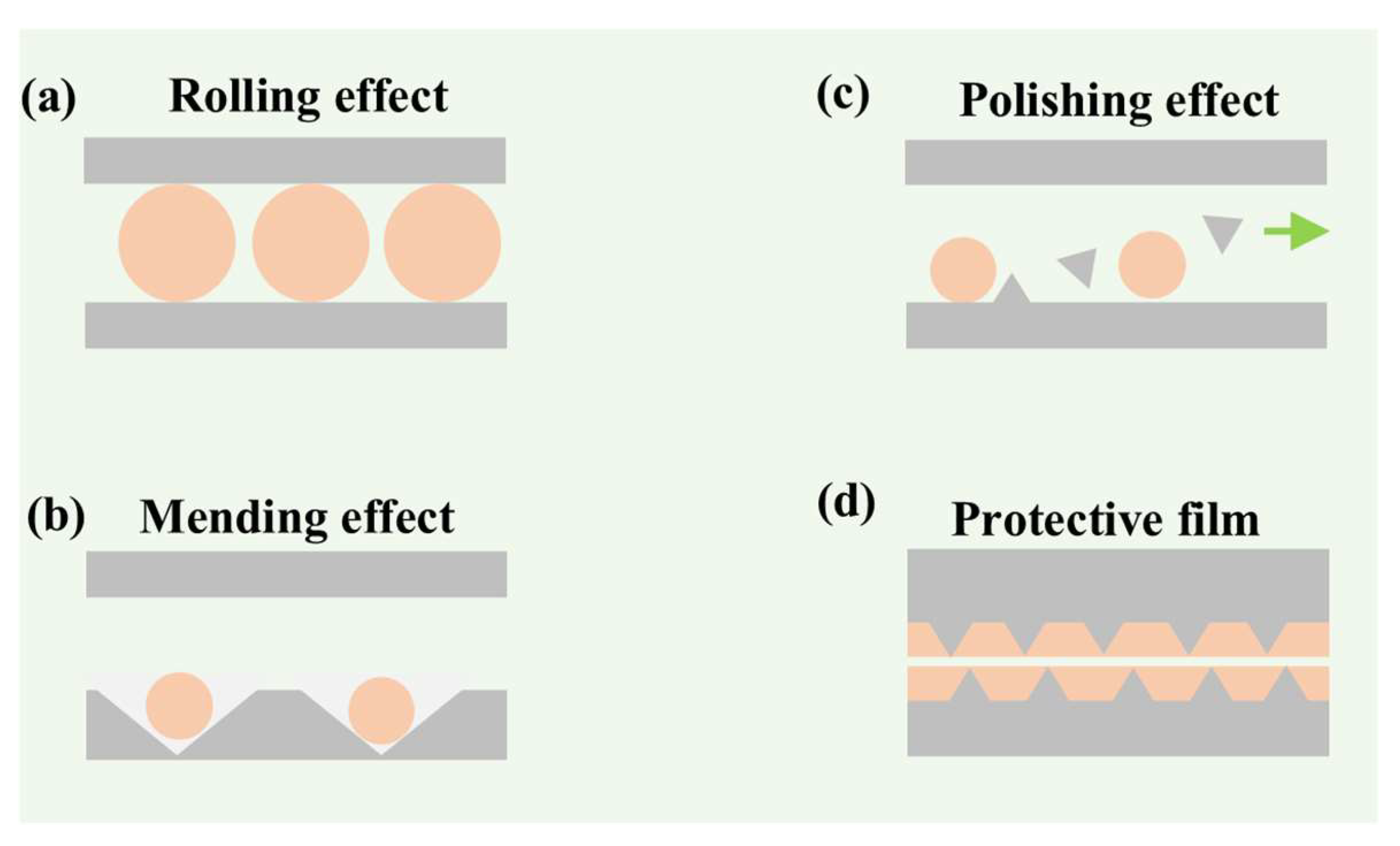 Lubricants 13 00056 g018