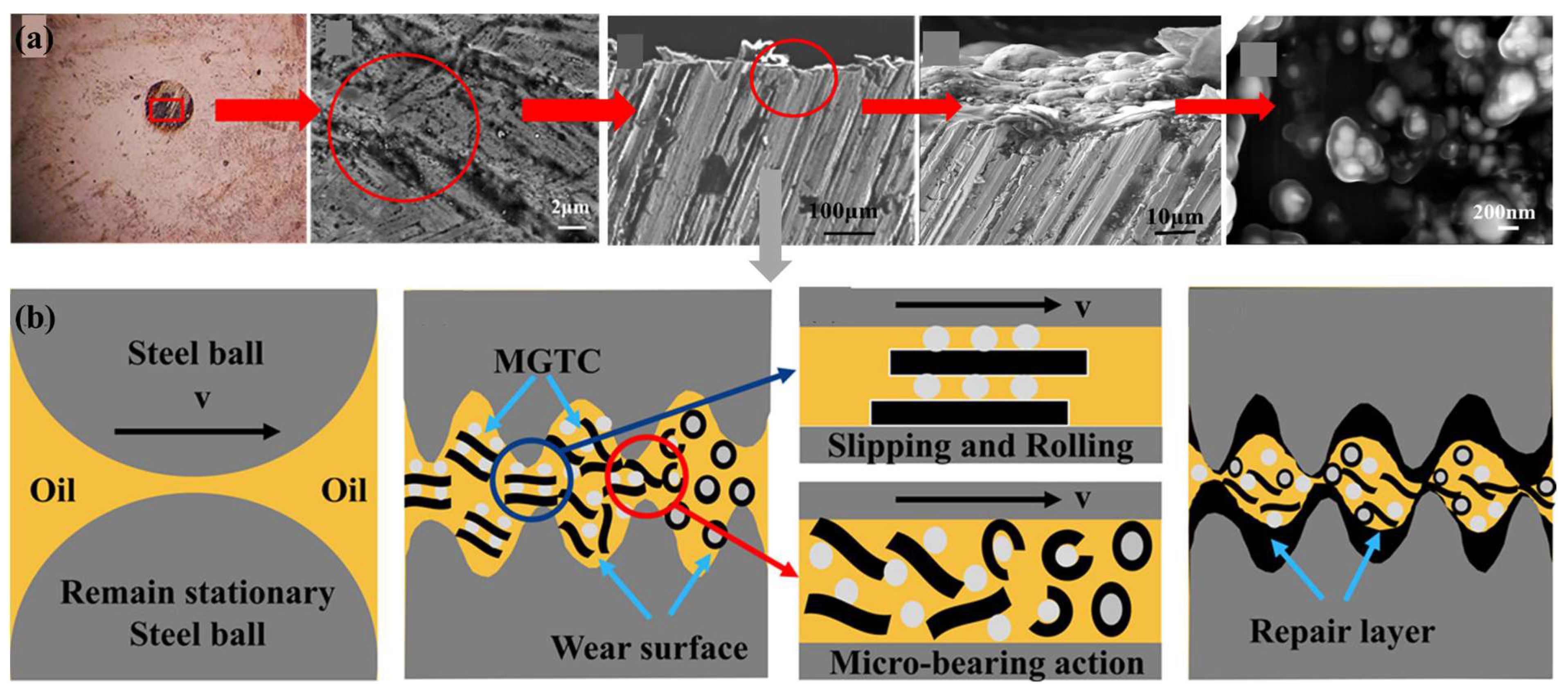 Lubricants 13 00056 g019