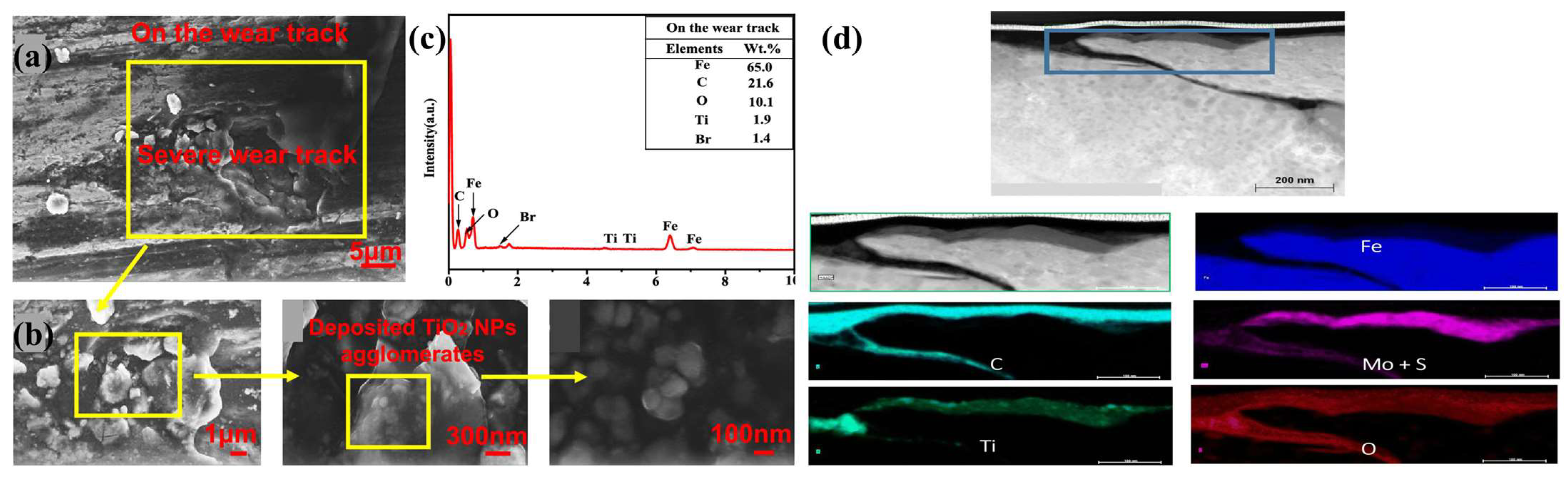 Lubricants 13 00056 g020