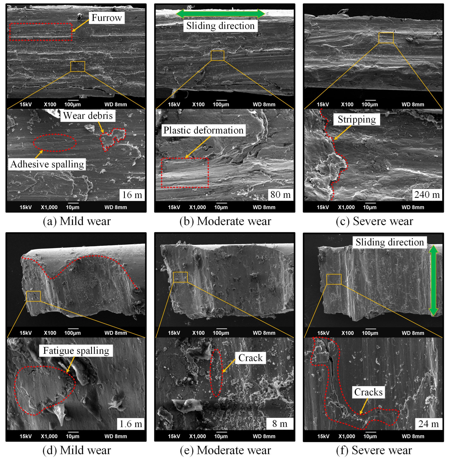 Lubricants 13 00059 g012