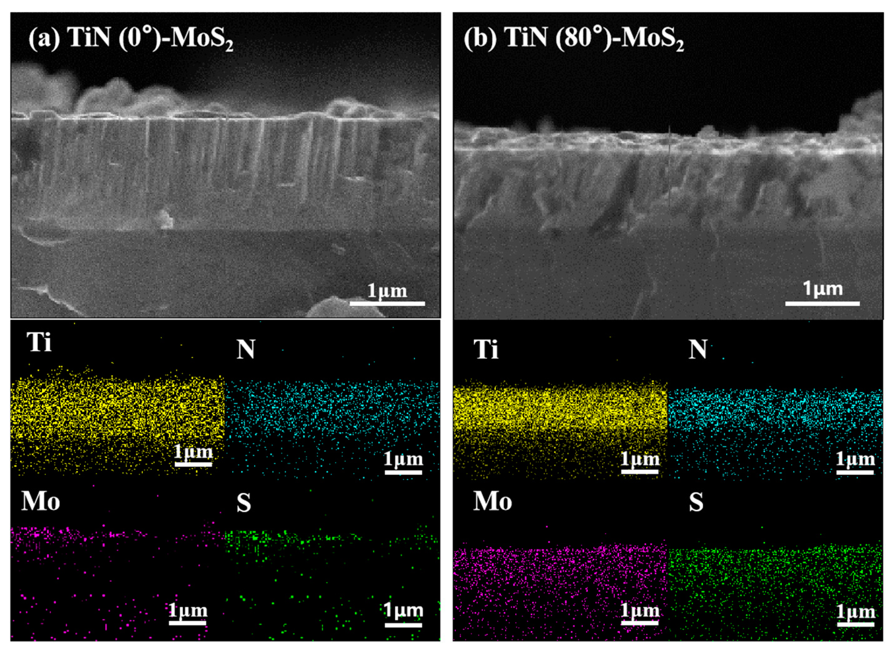 Lubricants 13 00061 g006