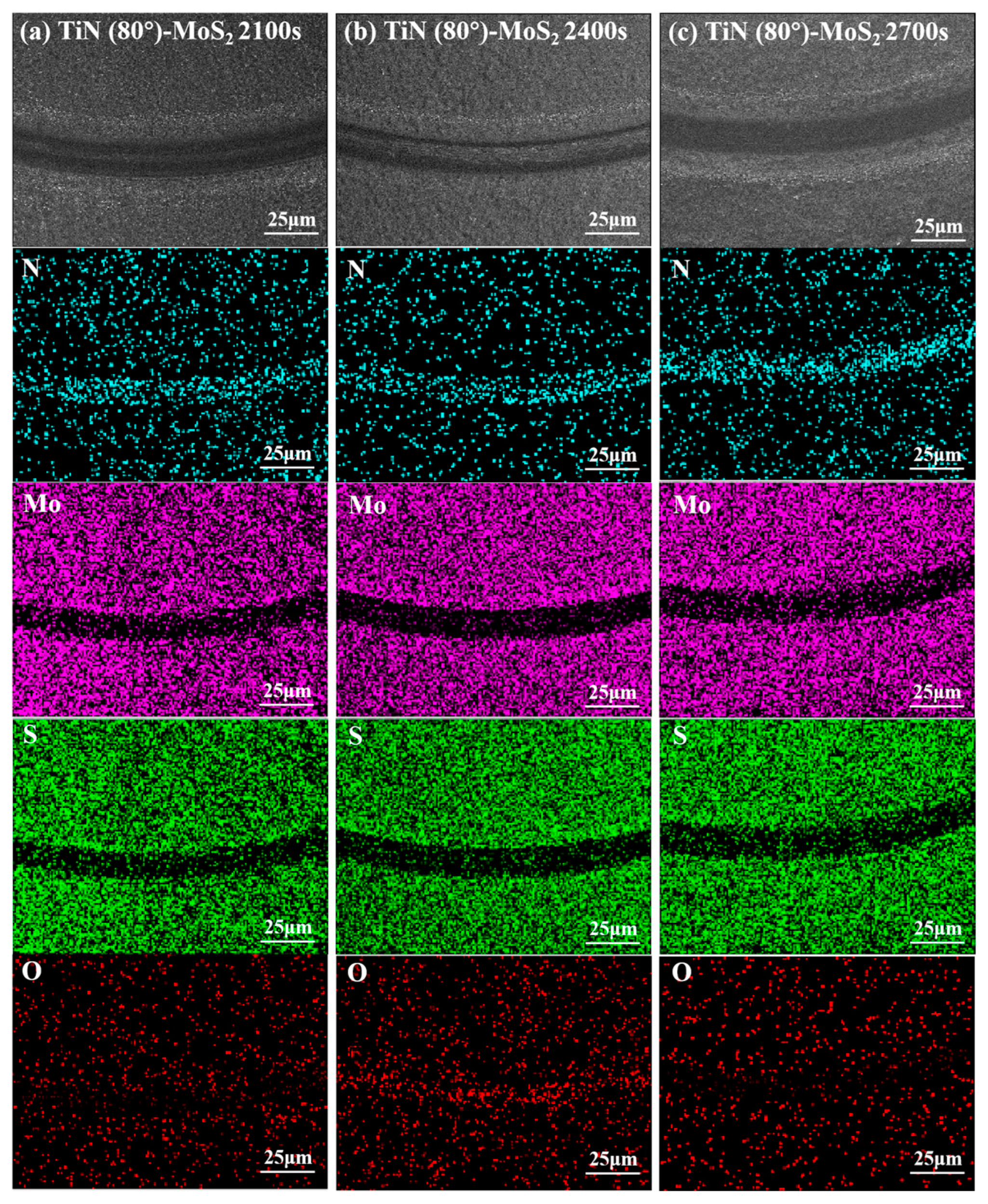 Lubricants 13 00061 g011