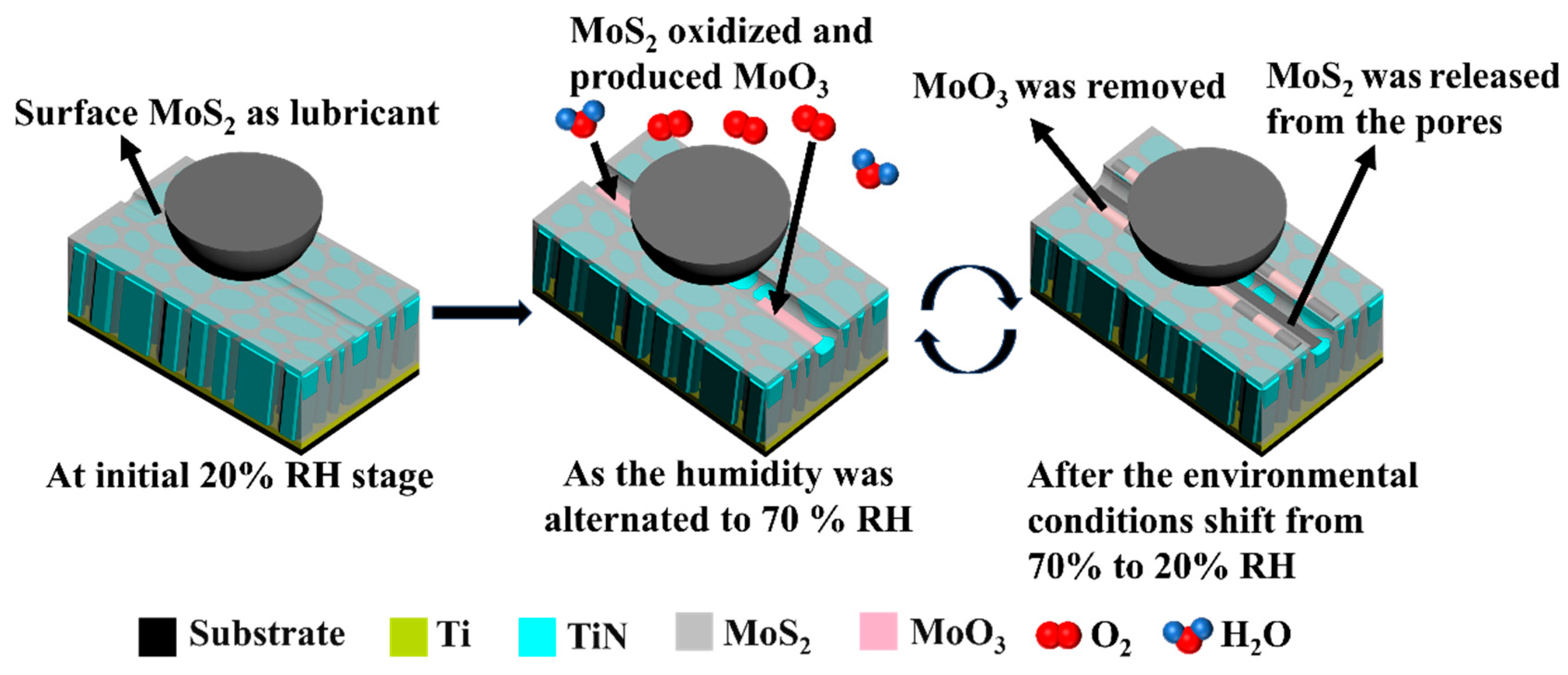 Lubricants 13 00061 g014