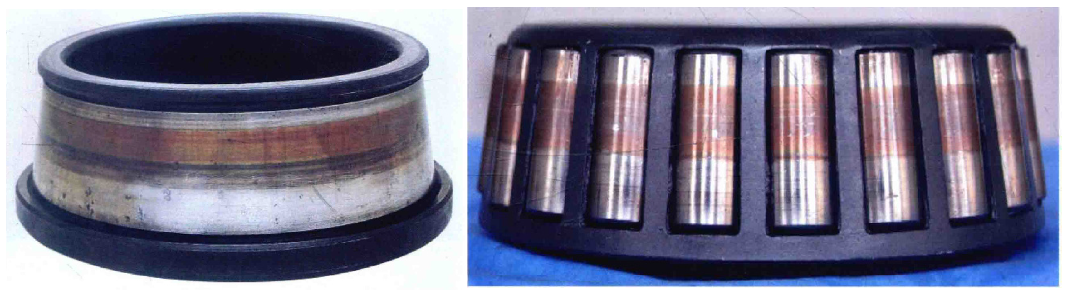 Lubricants 13 00084 g001