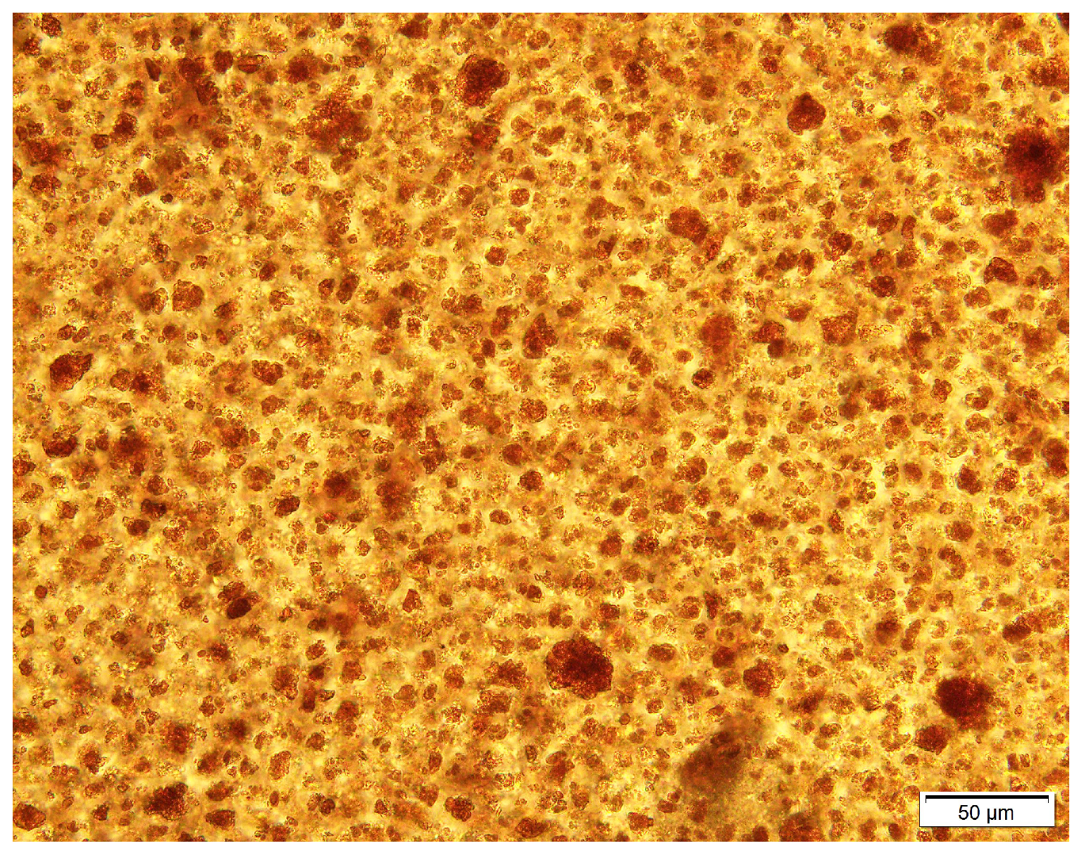 Lubricants 13 00086 g001