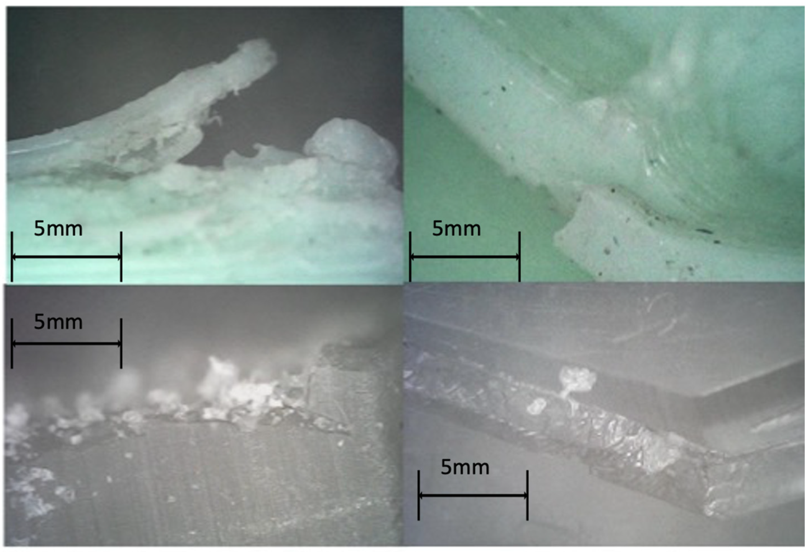 Lubricants 13 00089 g010