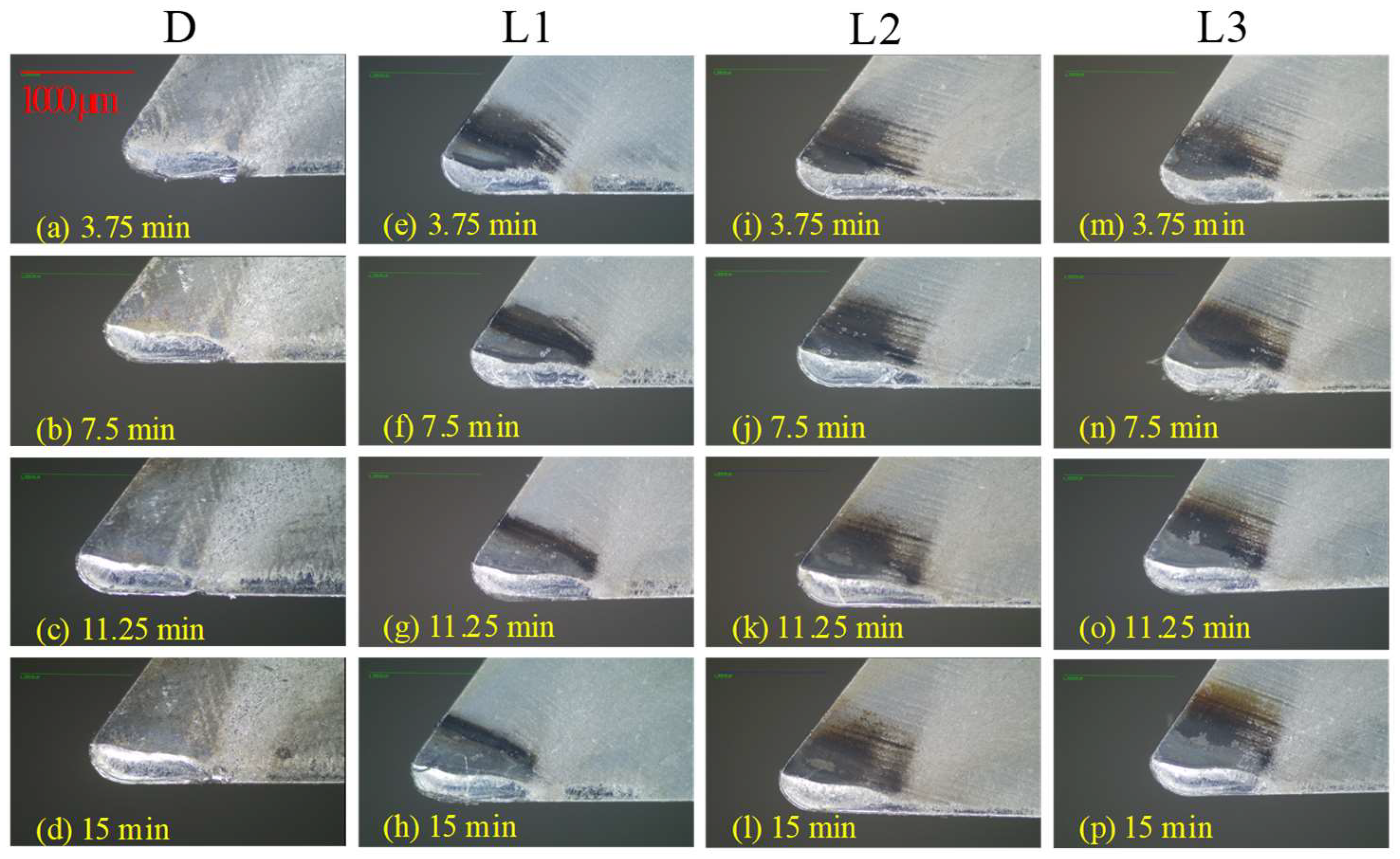 Lubricants 13 00090 g008