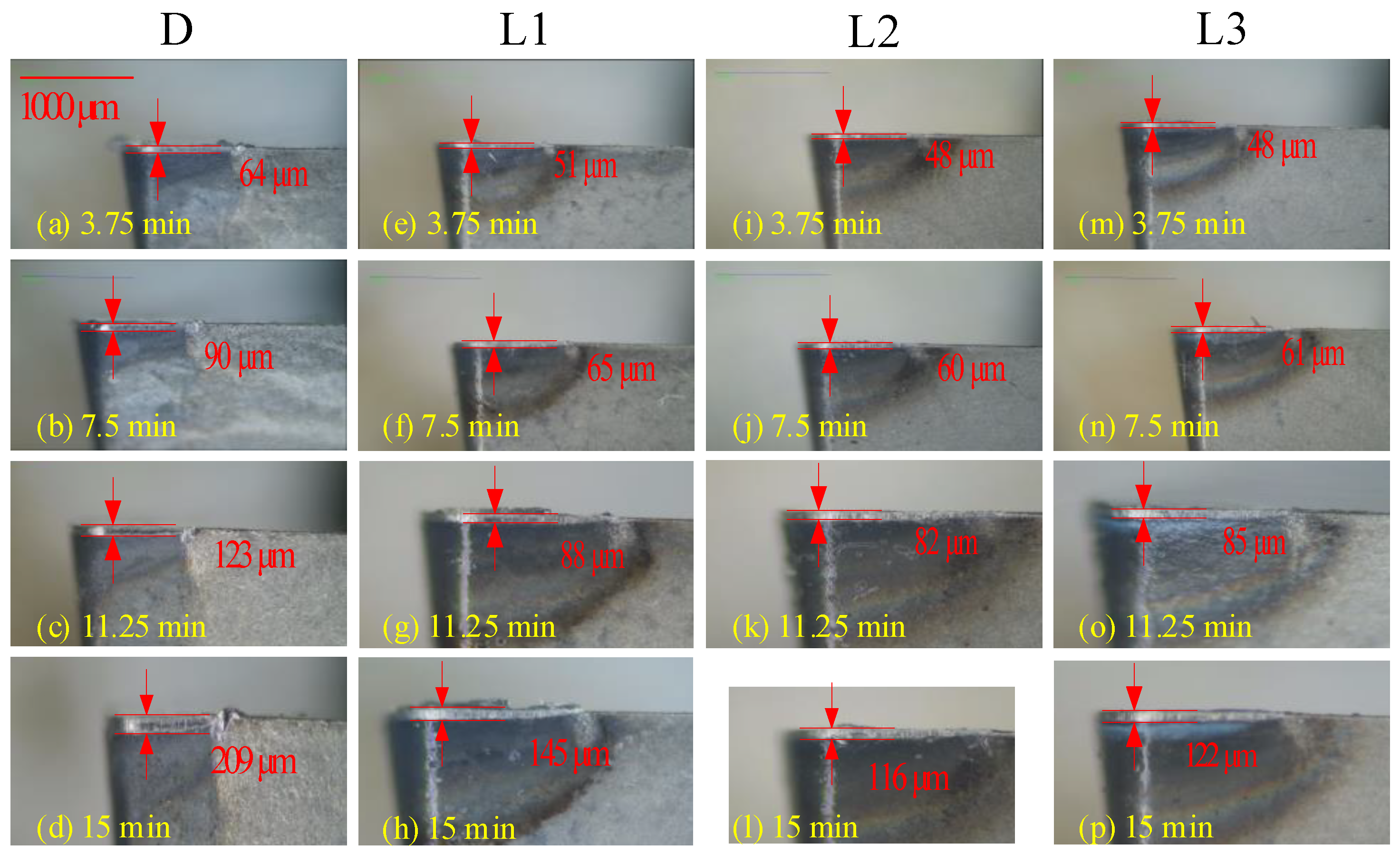 Lubricants 13 00090 g009