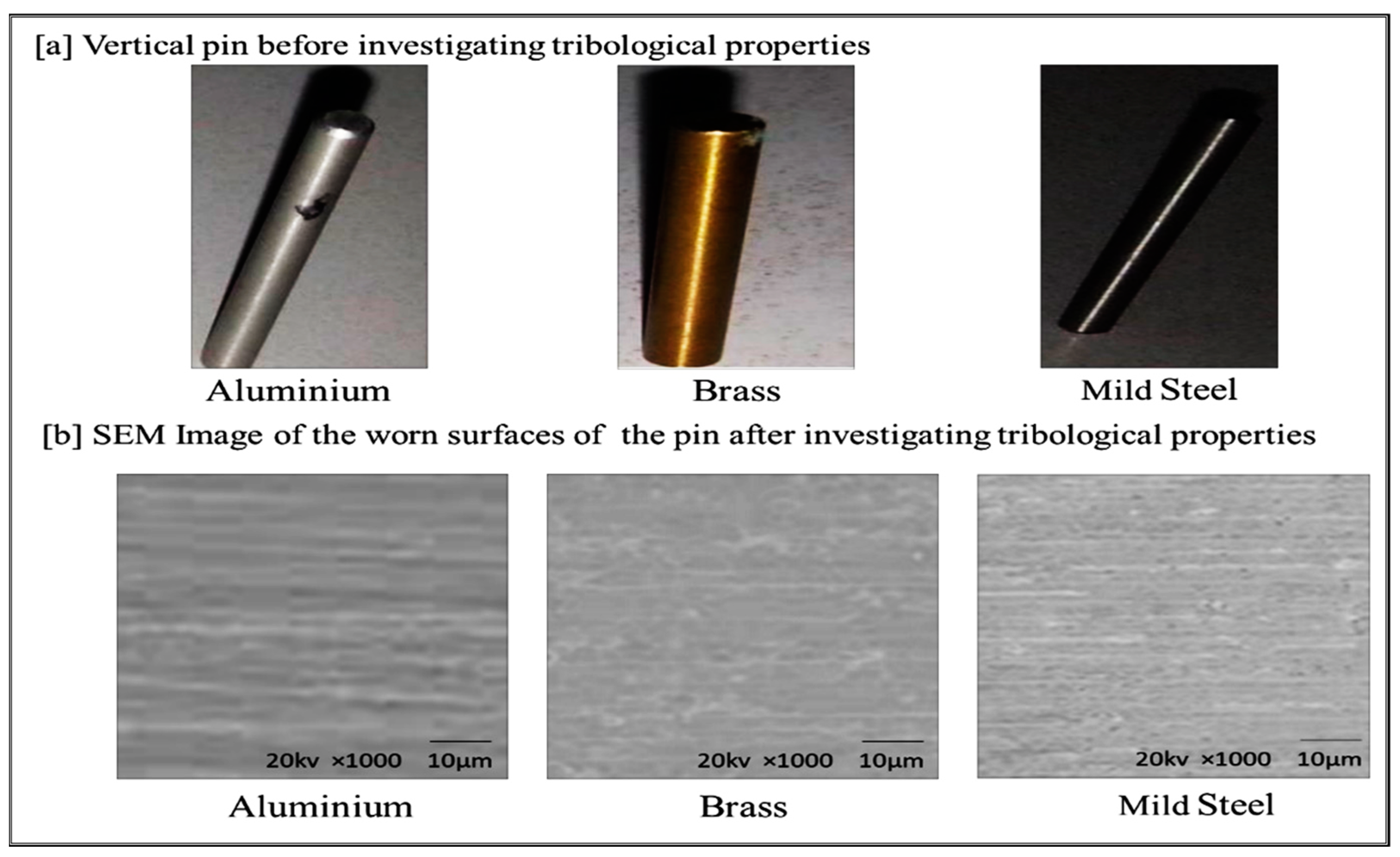 Lubricants 13 00092 g008