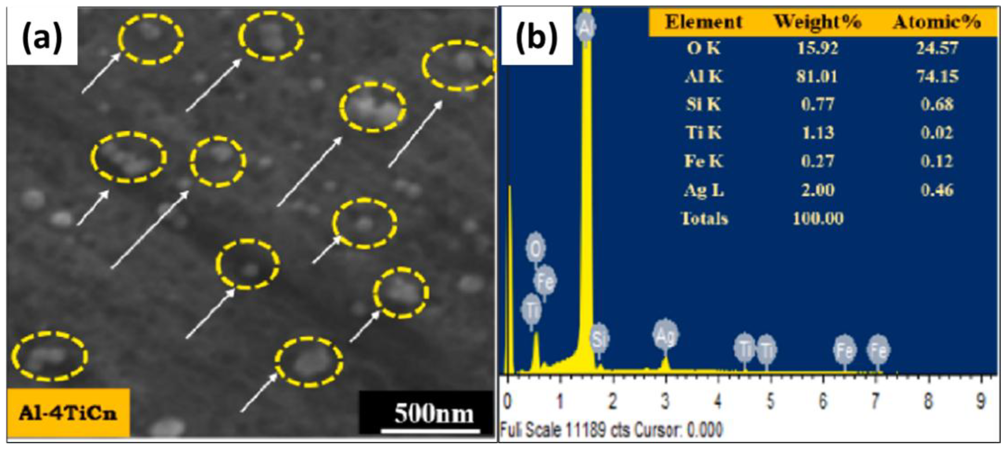 Lubricants 13 00093 g010 Lubricants 13 00093 g010