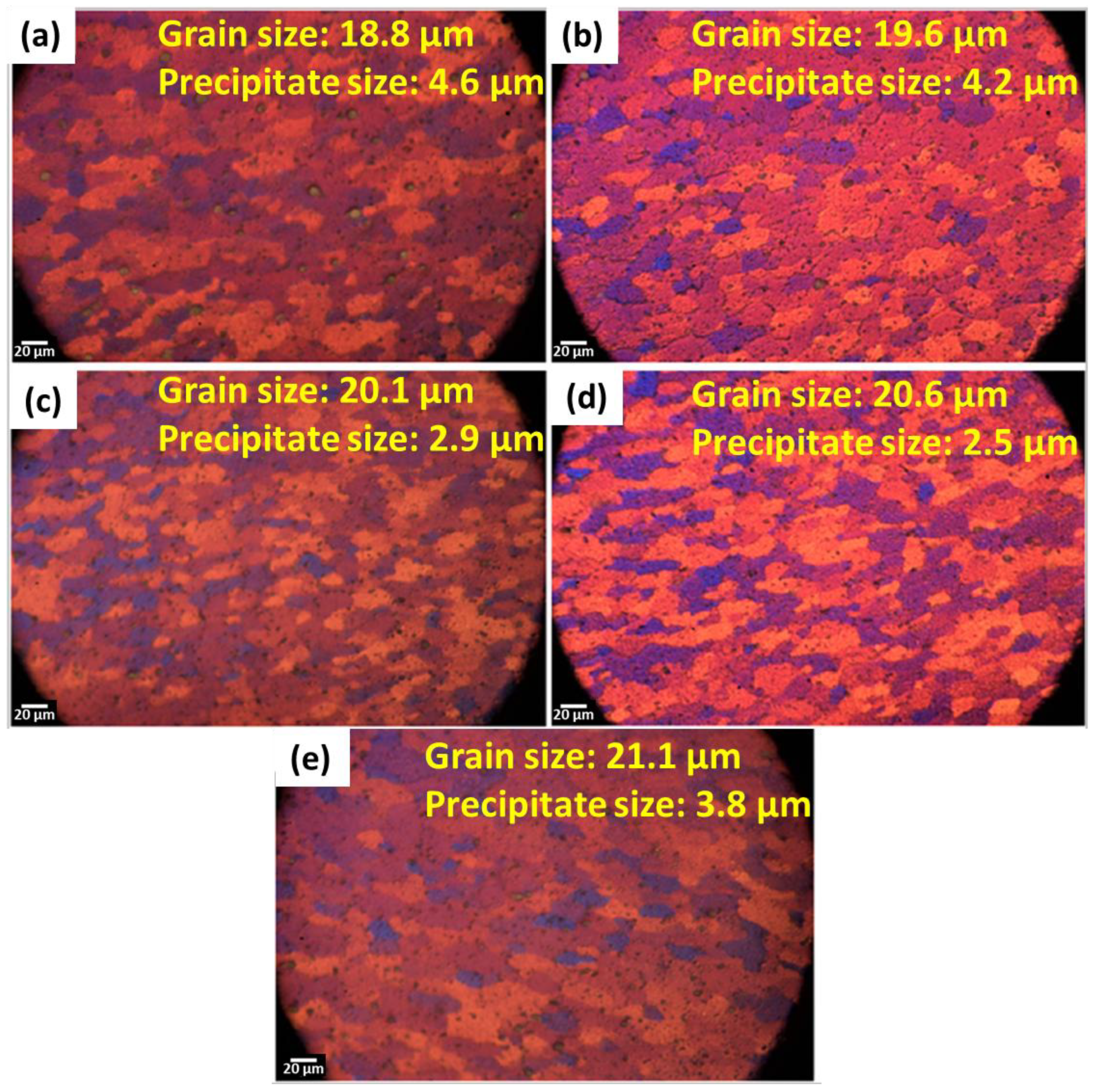 Lubricants 13 00093 g011 Lubricants 13 00093 g011