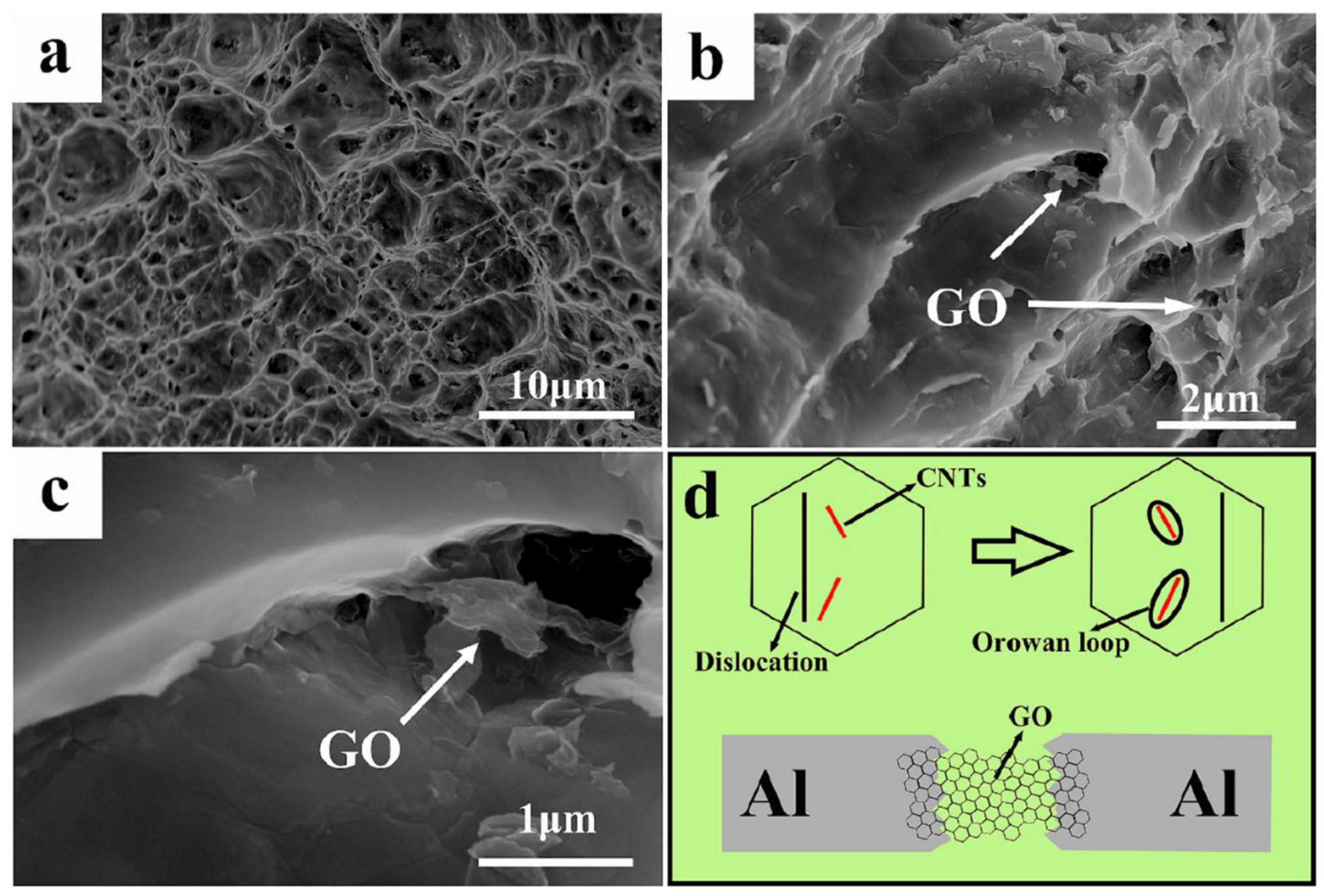 Lubricants 13 00093 g028 Lubricants 13 00093 g028