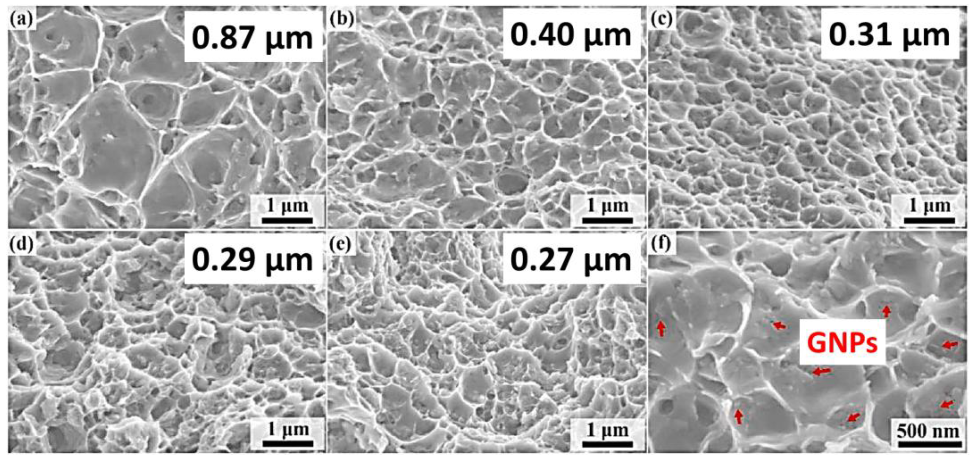 Lubricants 13 00093 g029 Lubricants 13 00093 g029