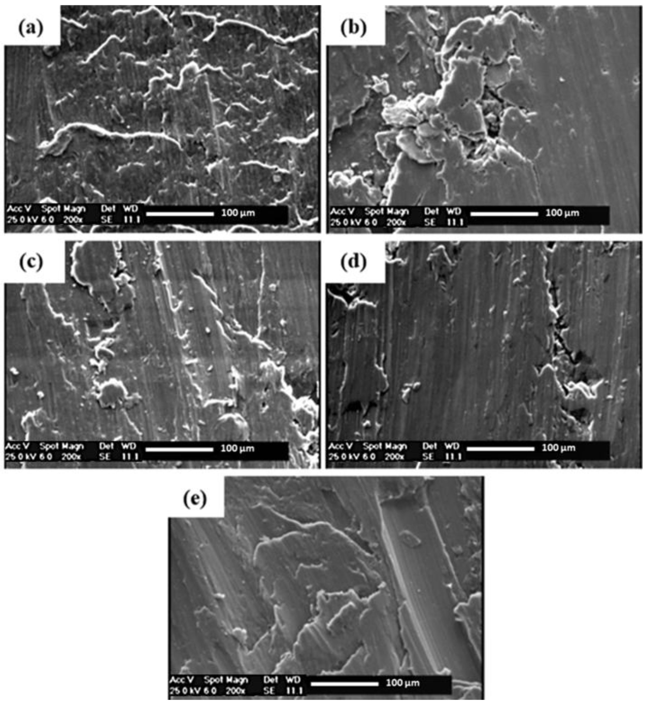 Lubricants 13 00093 g034 Lubricants 13 00093 g034