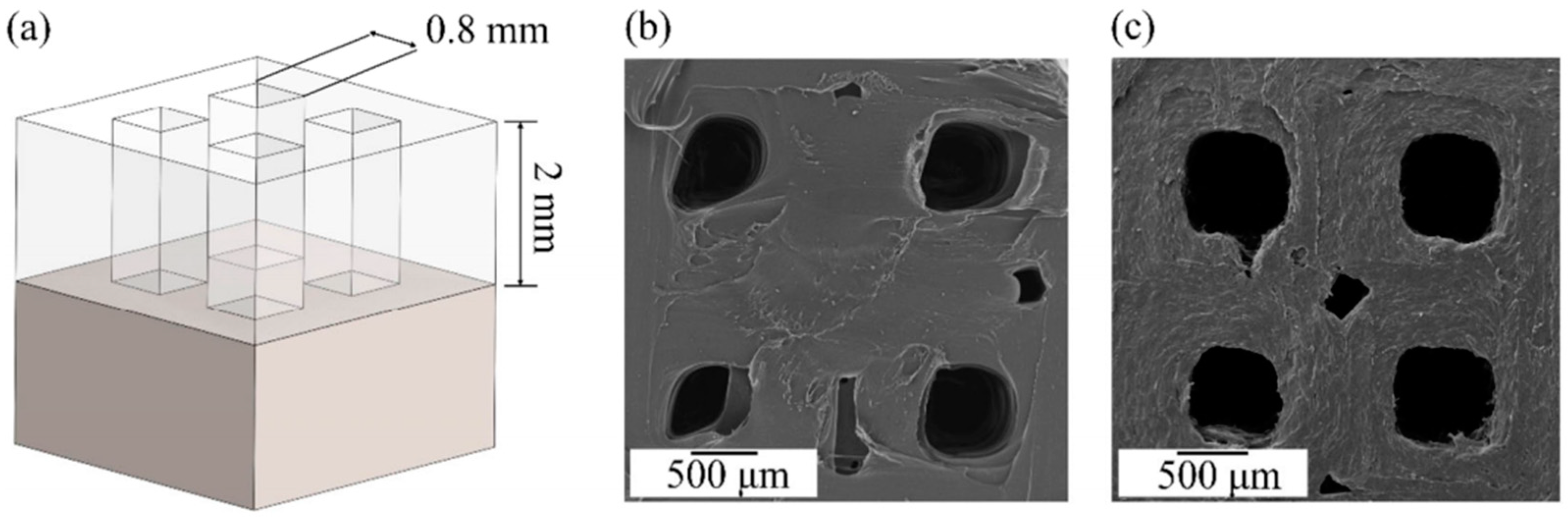 Lubricants 13 00098 g012