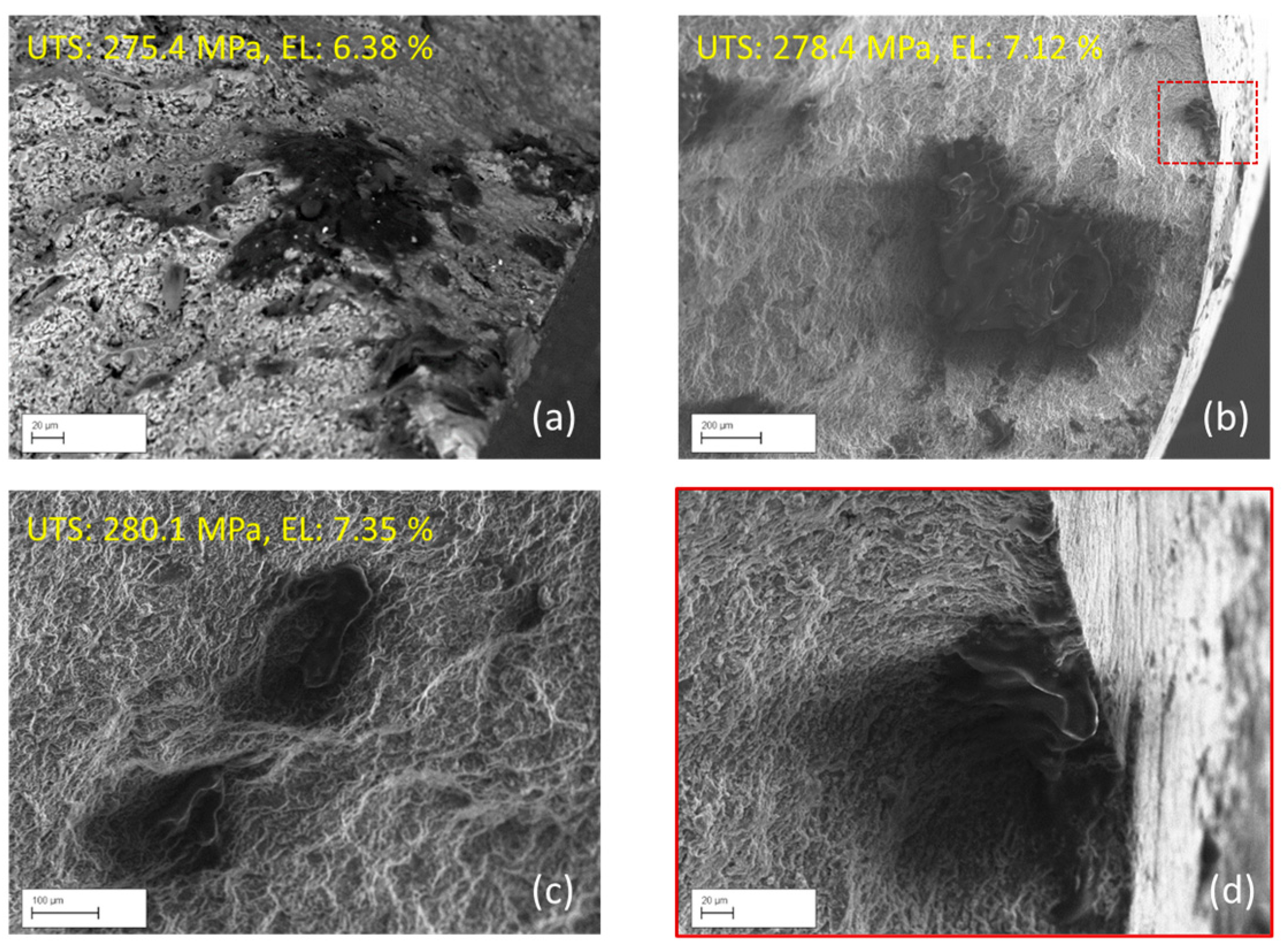 Lubricants 13 00099 g003