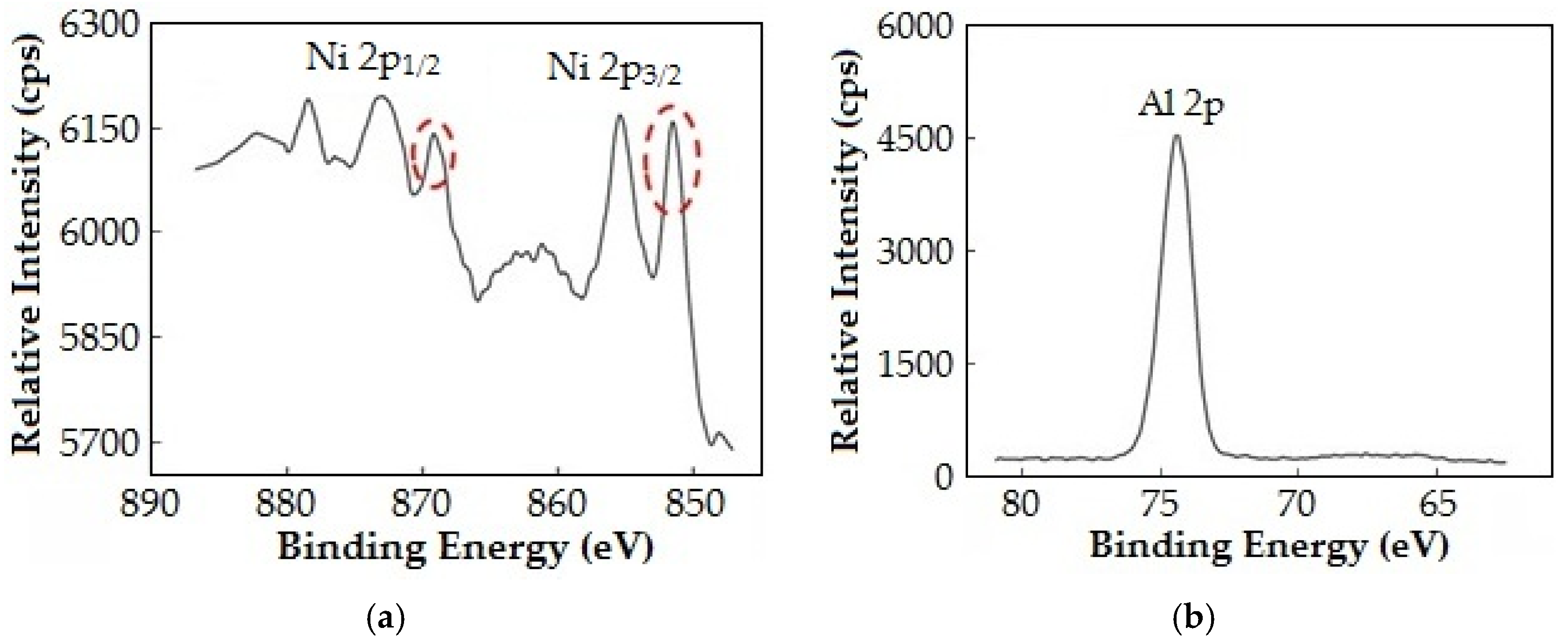 Lubricants 13 00101 g001