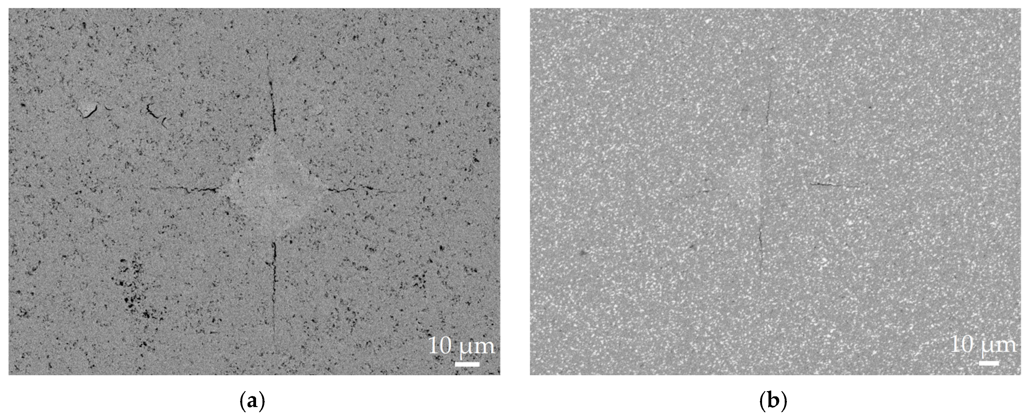 Lubricants 13 00101 g003