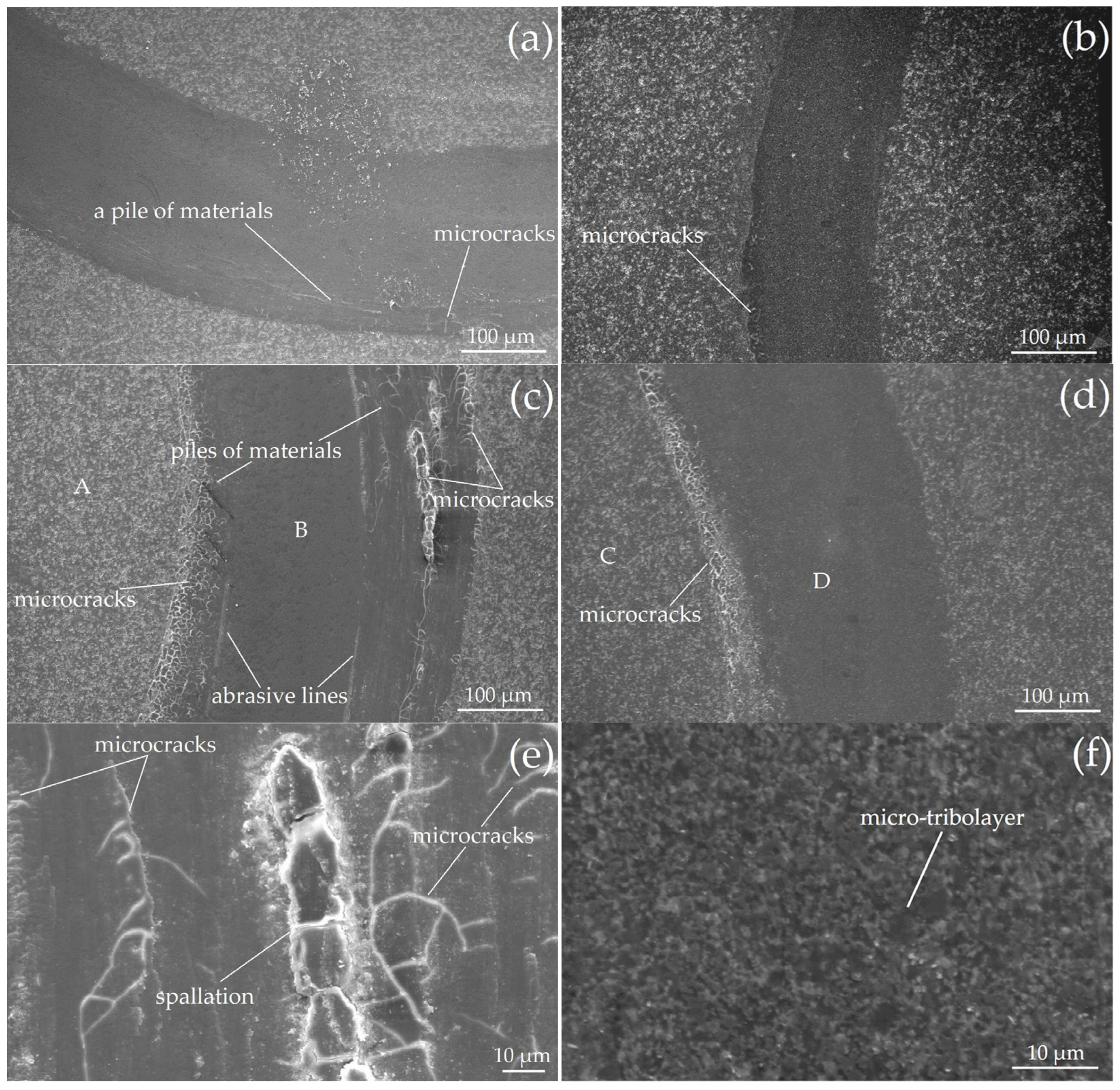Lubricants 13 00101 g010