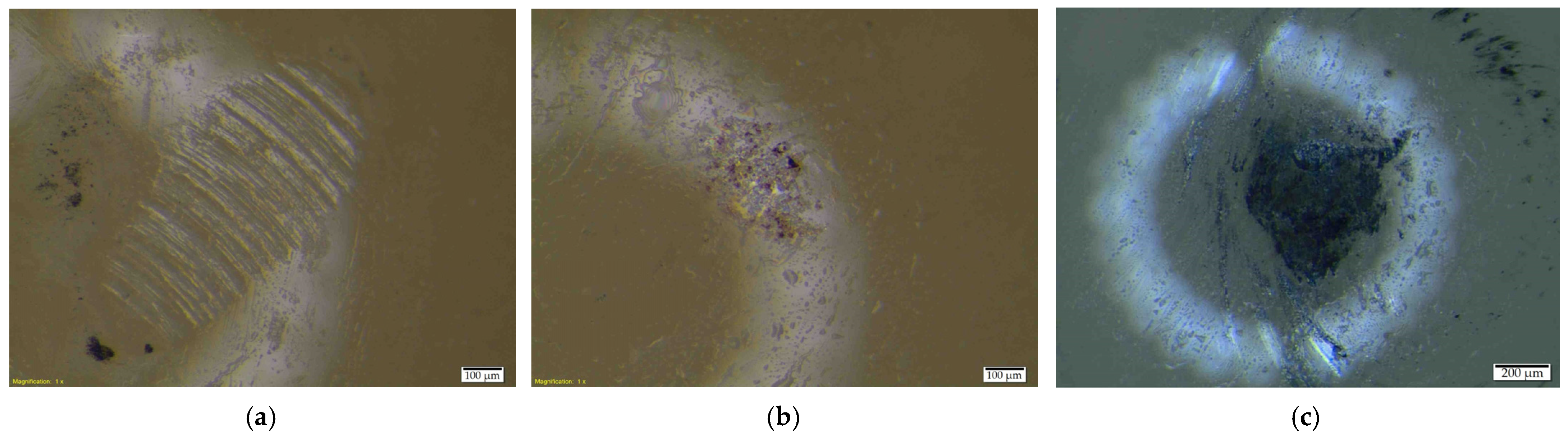 Lubricants 13 00101 g012