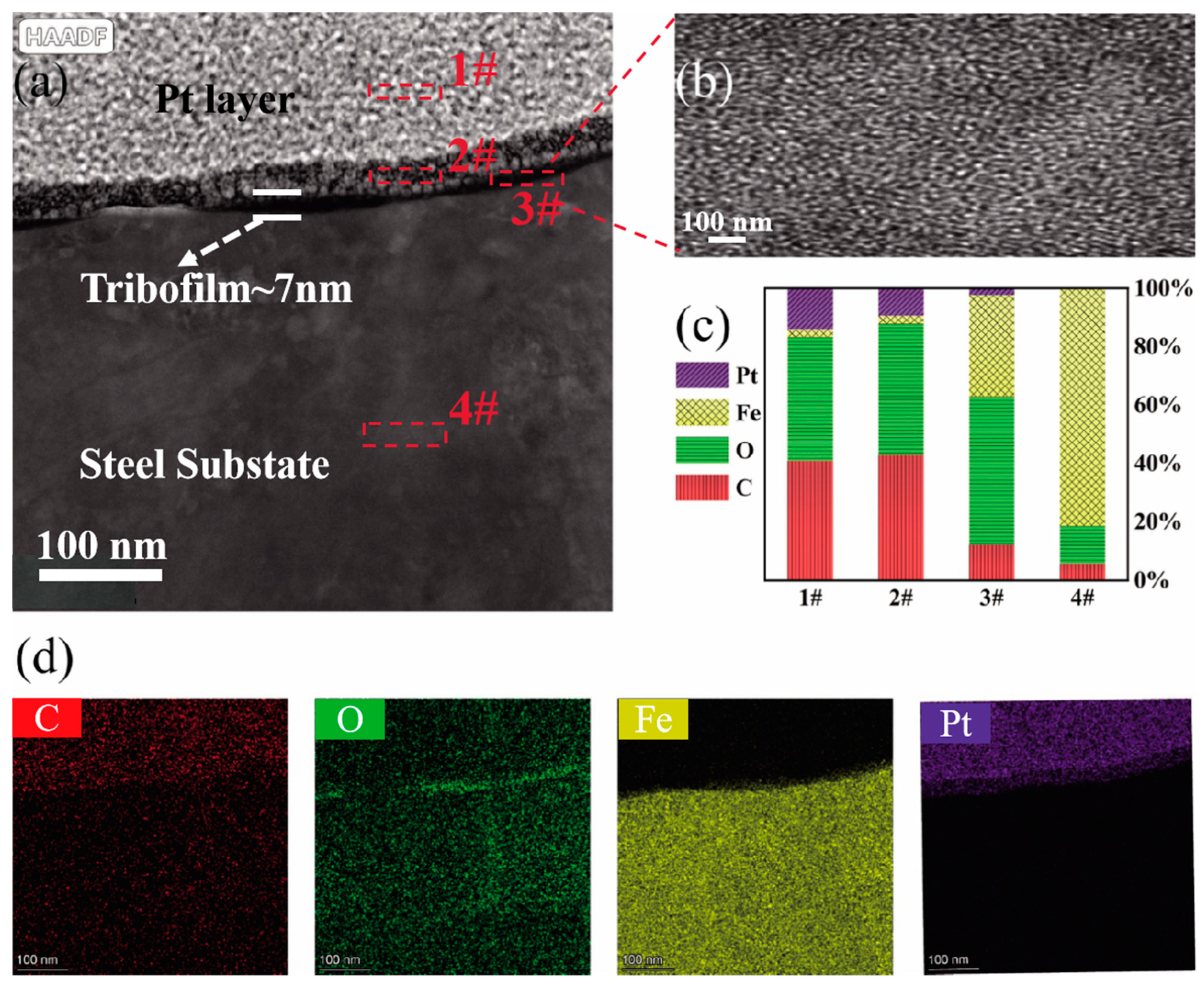 Lubricants 13 00103 g004