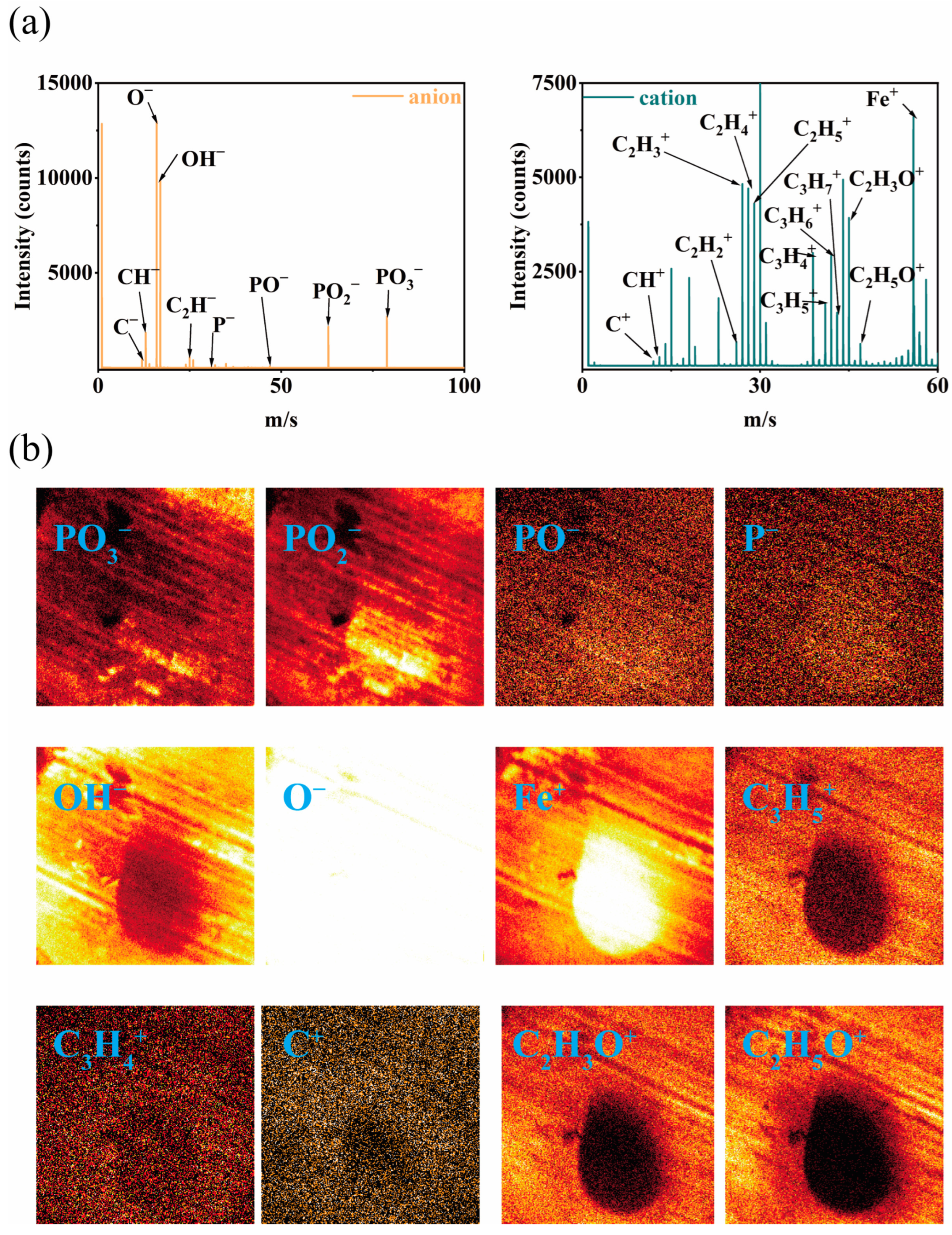 Lubricants 13 00103 g007