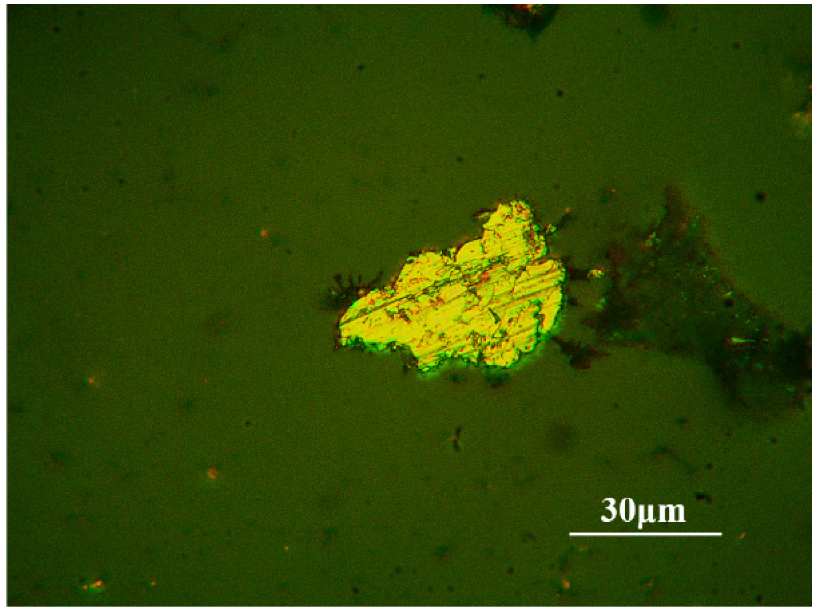 Lubricants 13 00107 g003 Lubricants 13 00107 g003