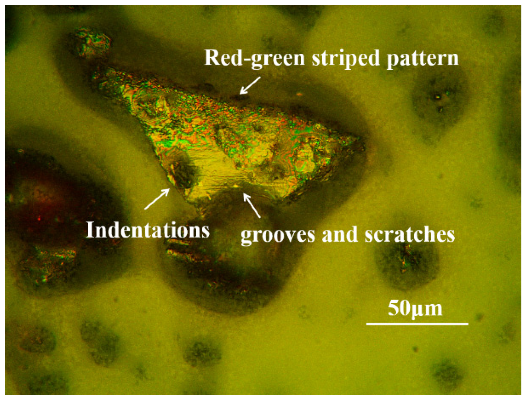 Lubricants 13 00107 g005 Lubricants 13 00107 g005
