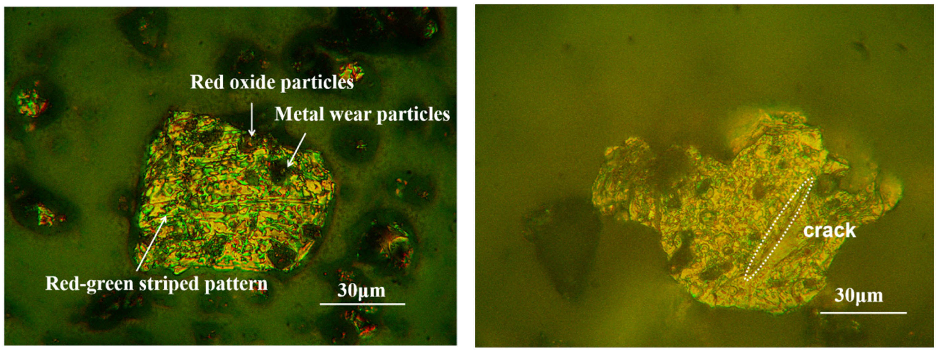 Lubricants 13 00107 g006 Lubricants 13 00107 g006