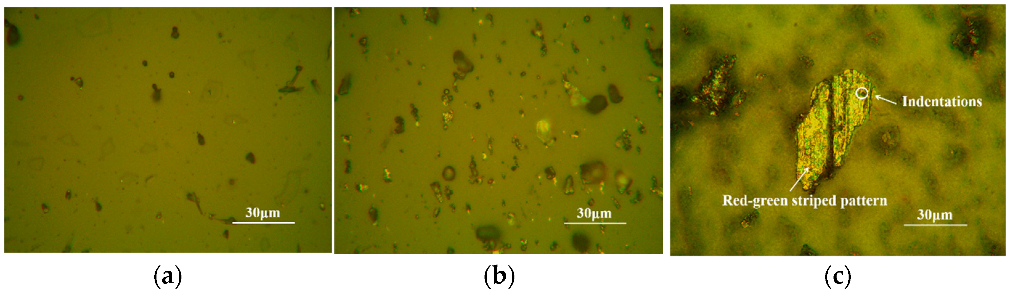 Lubricants 13 00107 g007 Lubricants 13 00107 g007