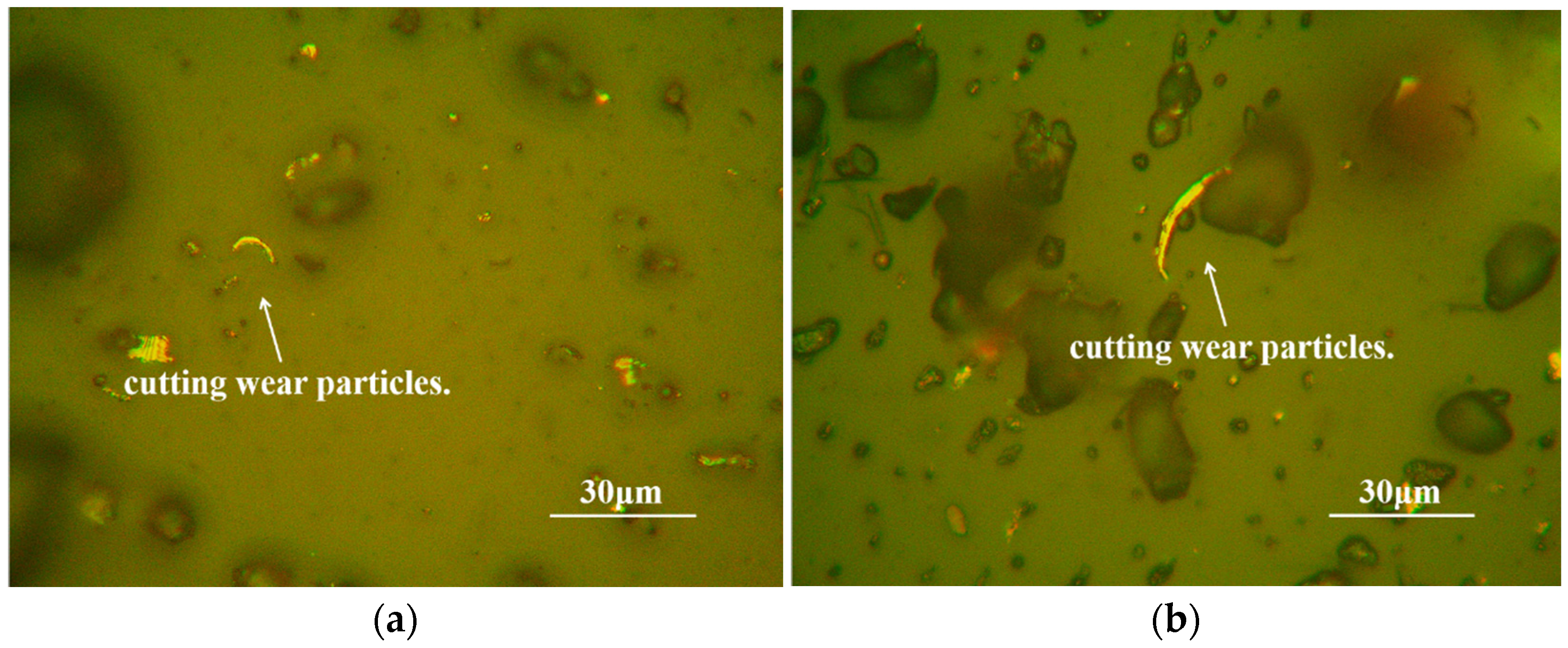 Lubricants 13 00107 g009 Lubricants 13 00107 g009