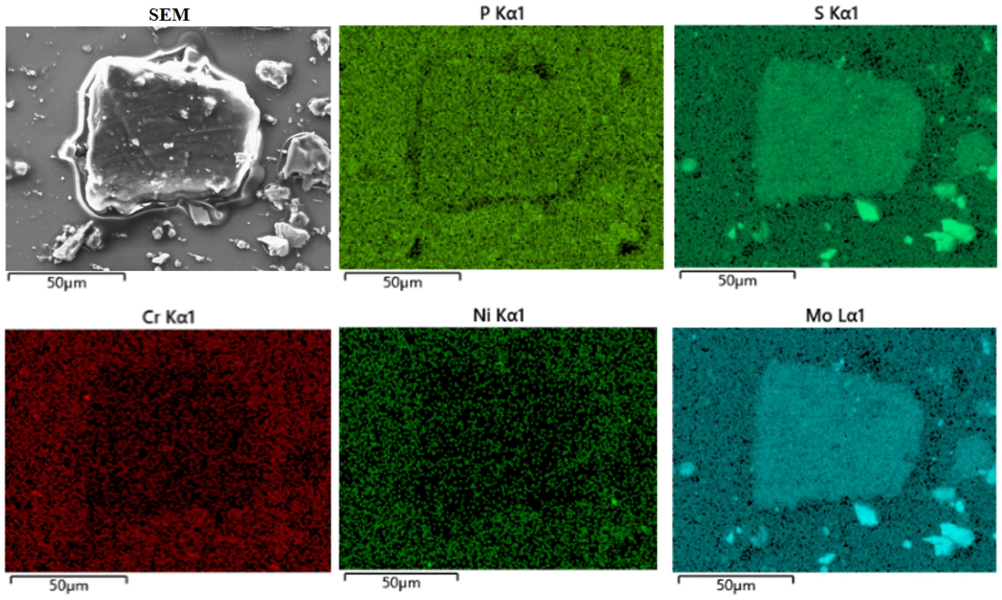 Lubricants 13 00107 g013 Lubricants 13 00107 g013