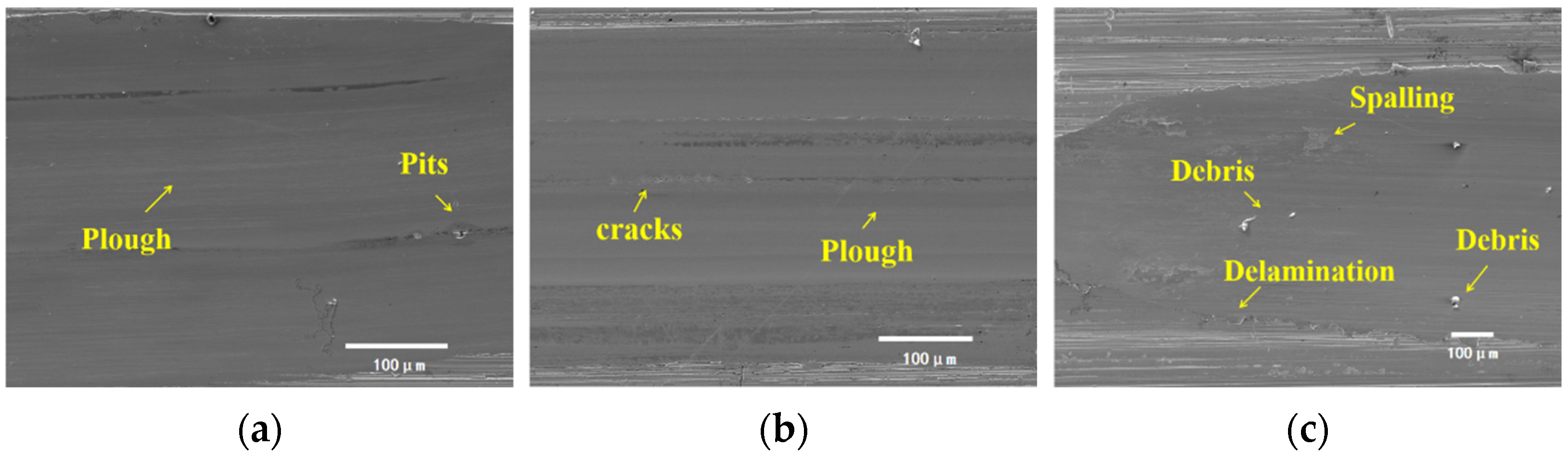 Lubricants 13 00107 g020 Lubricants 13 00107 g020