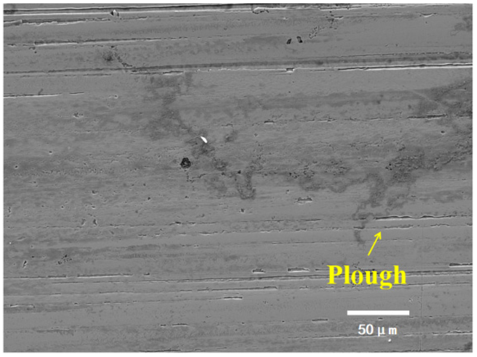 Lubricants 13 00107 g021 Lubricants 13 00107 g021