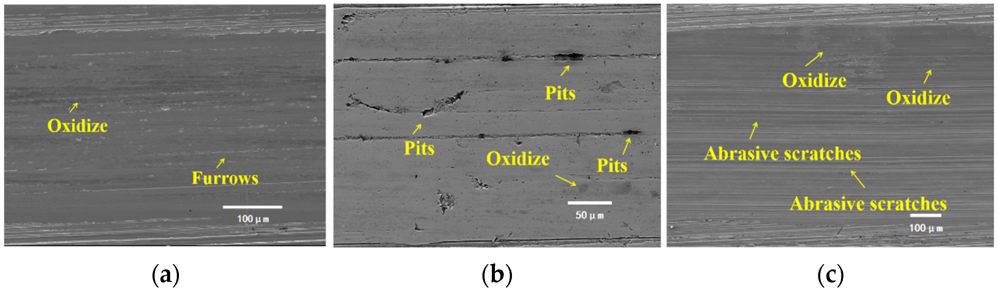 Lubricants 13 00107 g024 Lubricants 13 00107 g024
